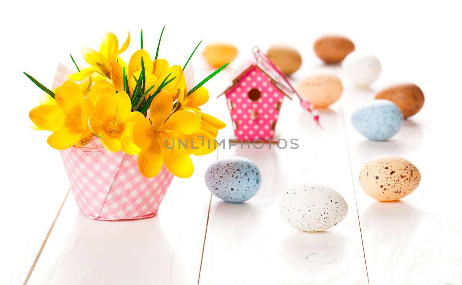 crocus flowers on white wooden background, spring decoration with easter eggs