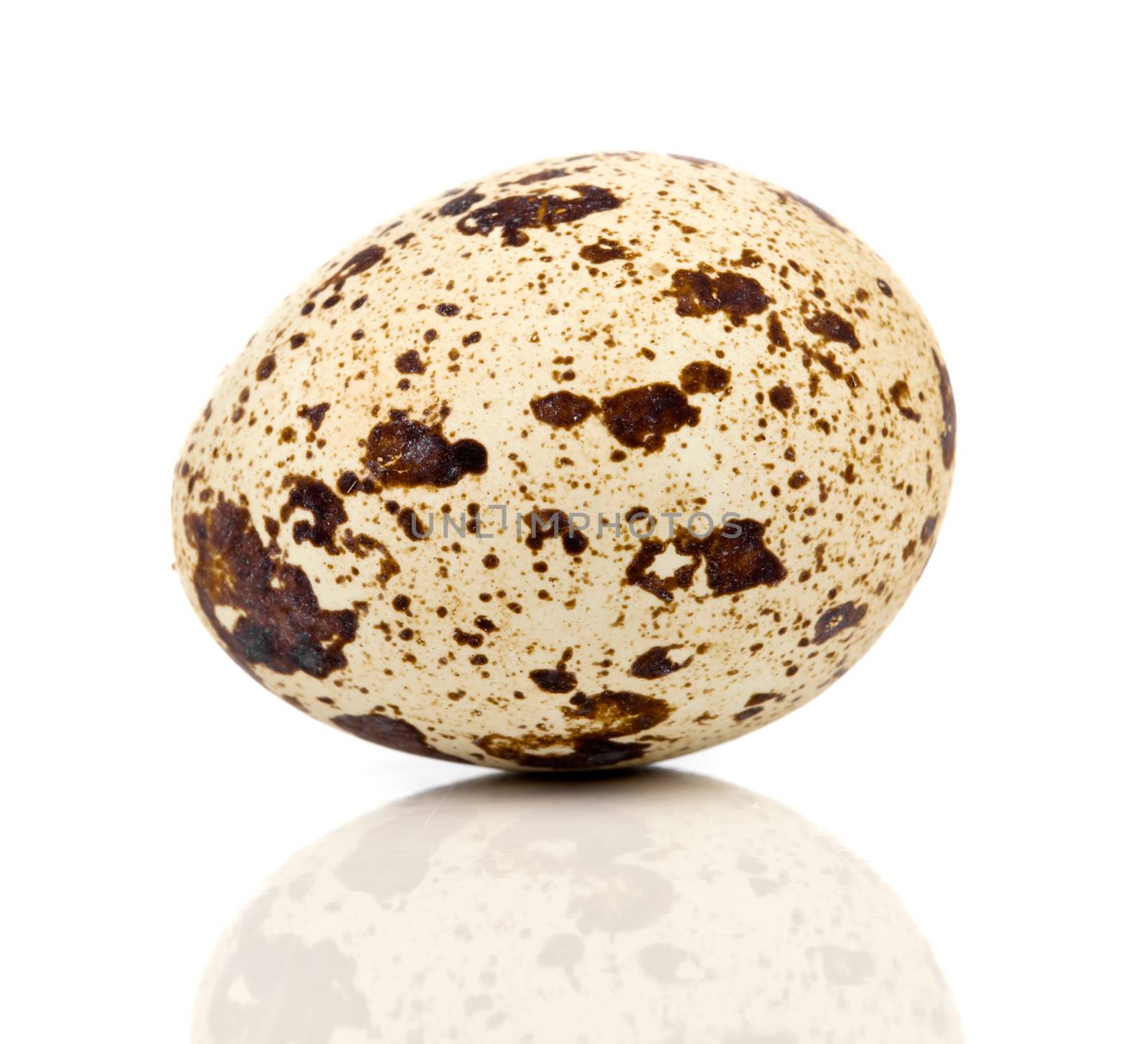 One quail egg. Isolated on white background by motorolka