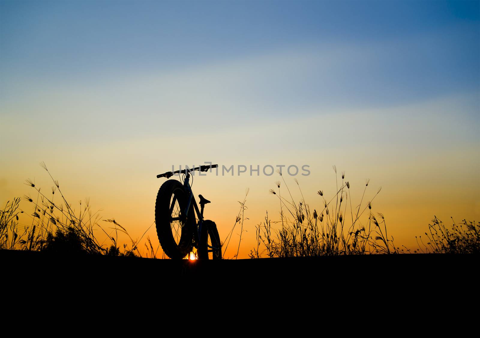 beautiful sunset sky and mountain bike silhouette , silhouette fat bike by anatskwong
