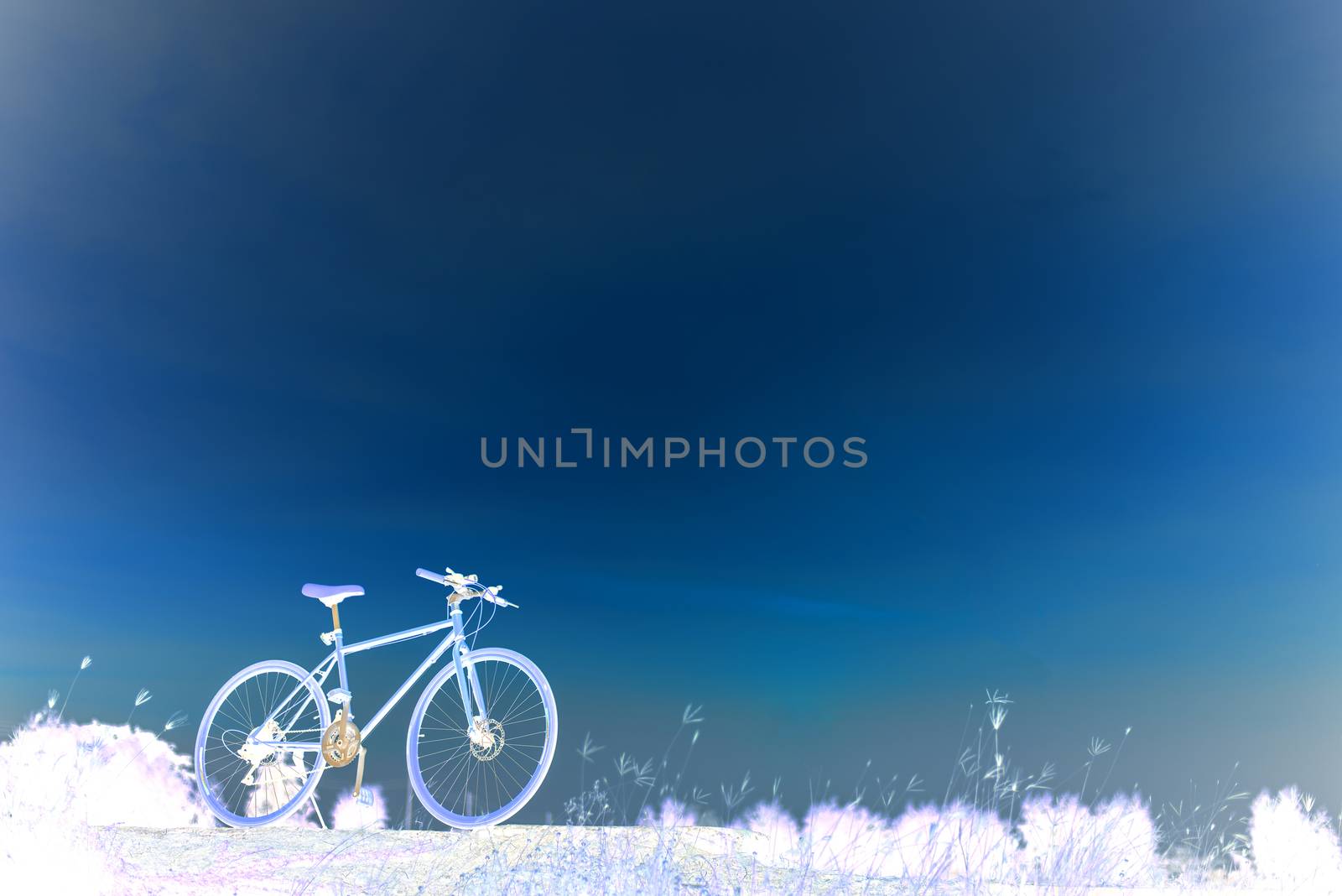 Sunset silhouette and bicycle on beautiful sky