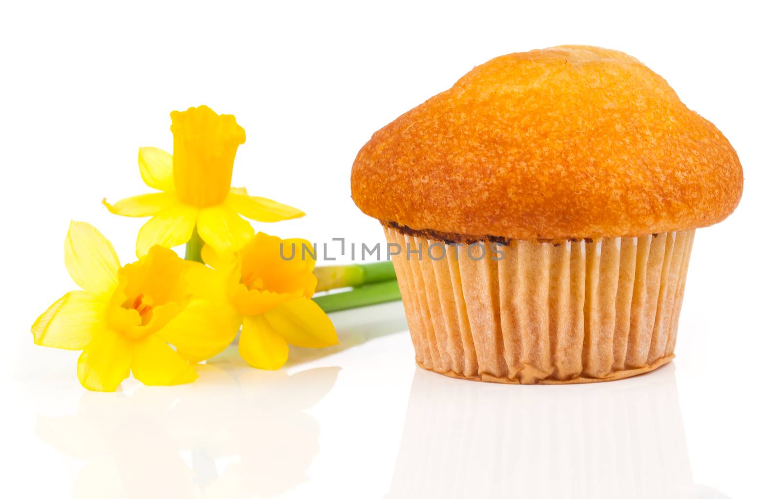 muffins, isolated on white background