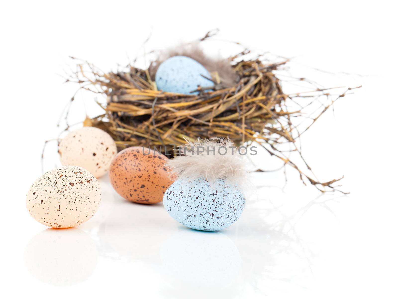 Easter eggs in bird nest isolated on white background