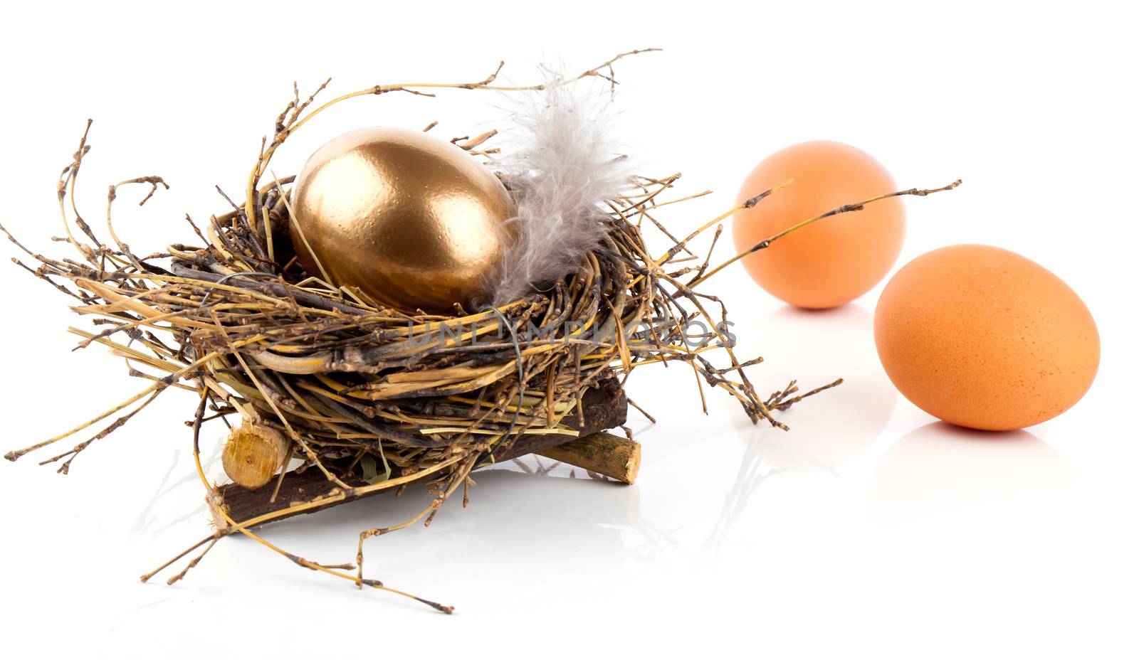 Golden egg in nest on white background