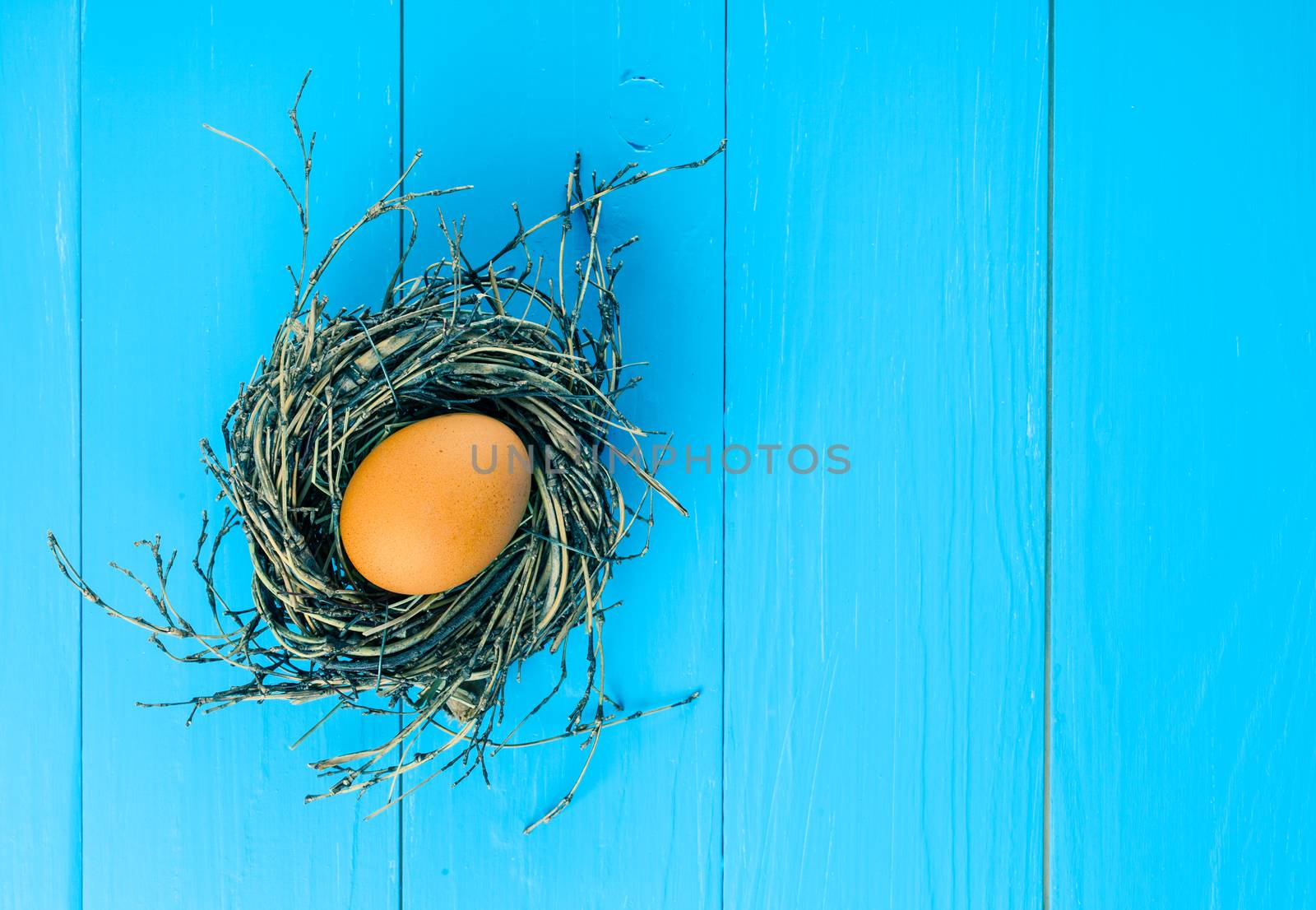 egg in nest on blue wooden background by motorolka