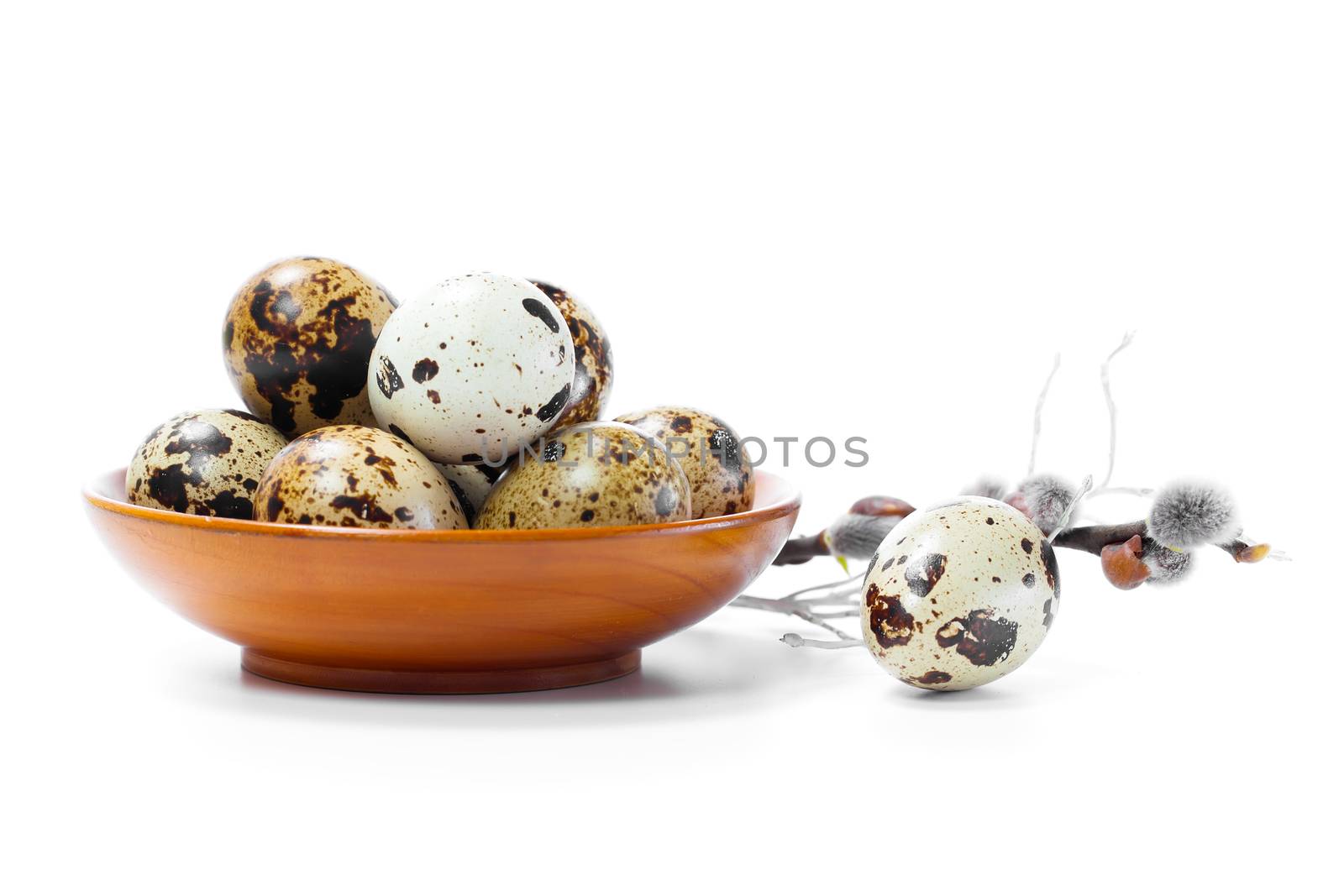 Fresh quail egg in bowl. isolated on white background. by motorolka