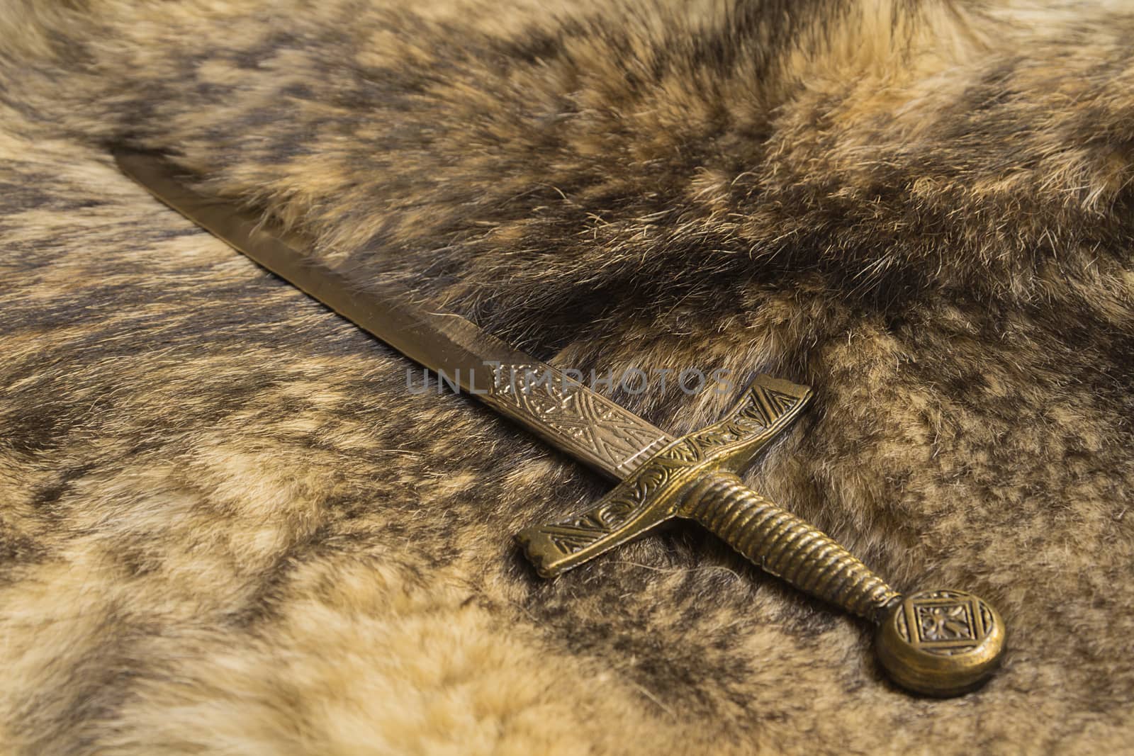 dagger on the fur pelt of a wild Wolf