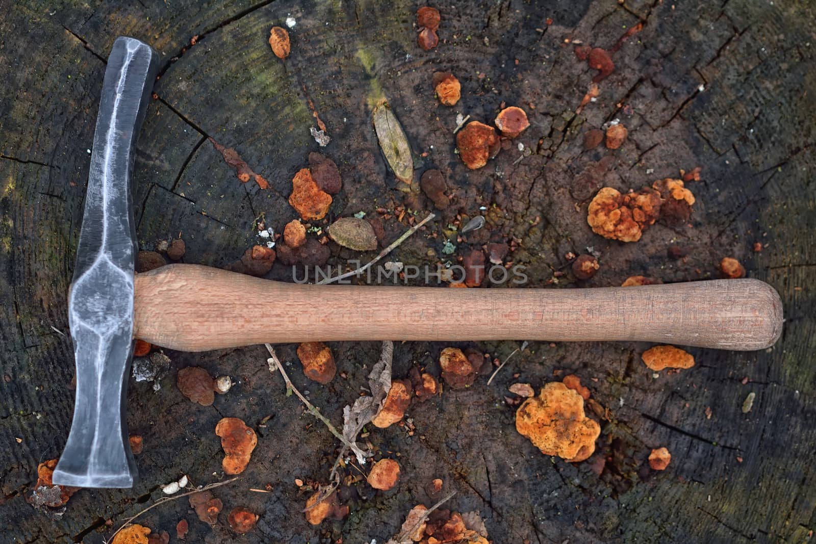 Hand made blacksmith hammer resting on an old stump