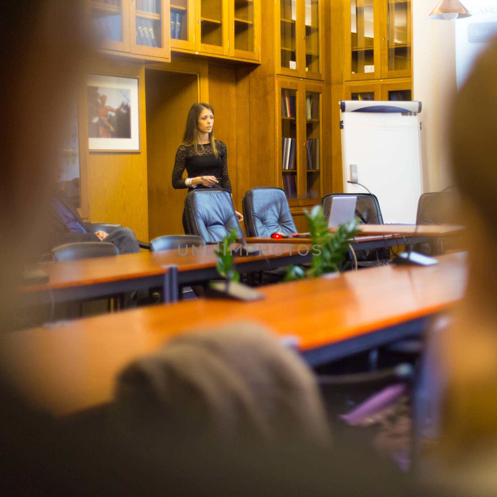 Corporative business woman on job interview. Female expert giving presentation in office in front of the human resources unit and business management. Business and Entrepreneurship.