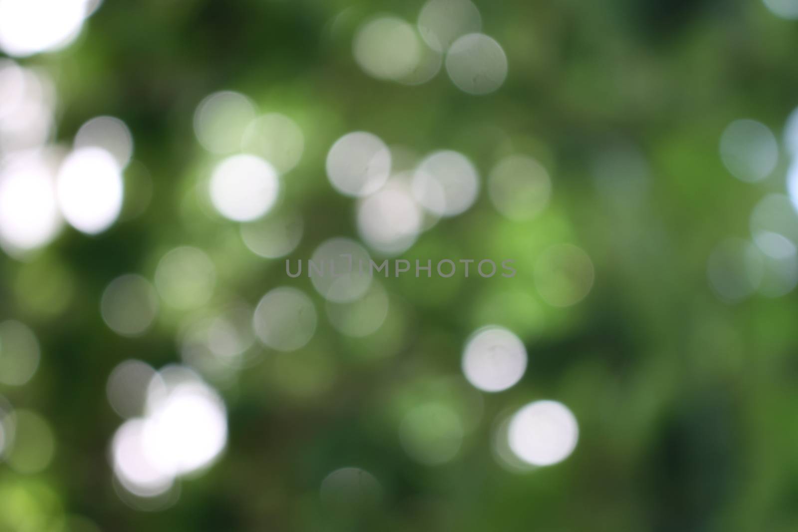 Green light background by worrayuth