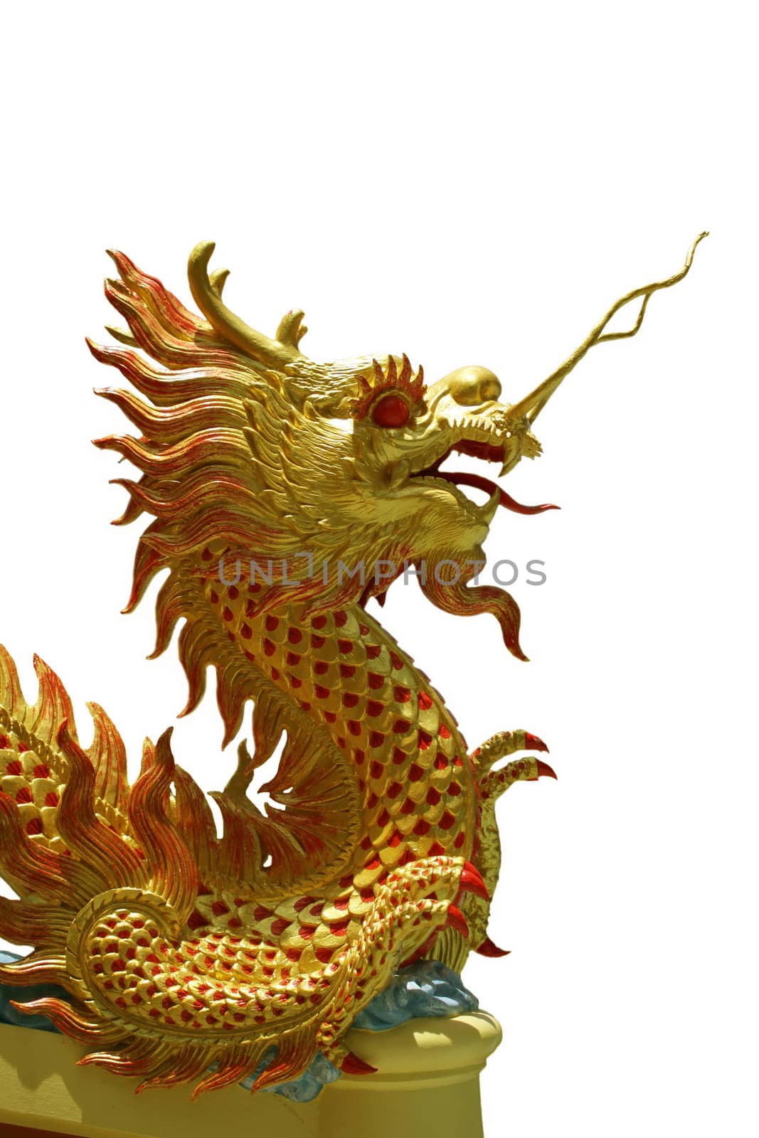 Golden Chinese dragon on isolate background