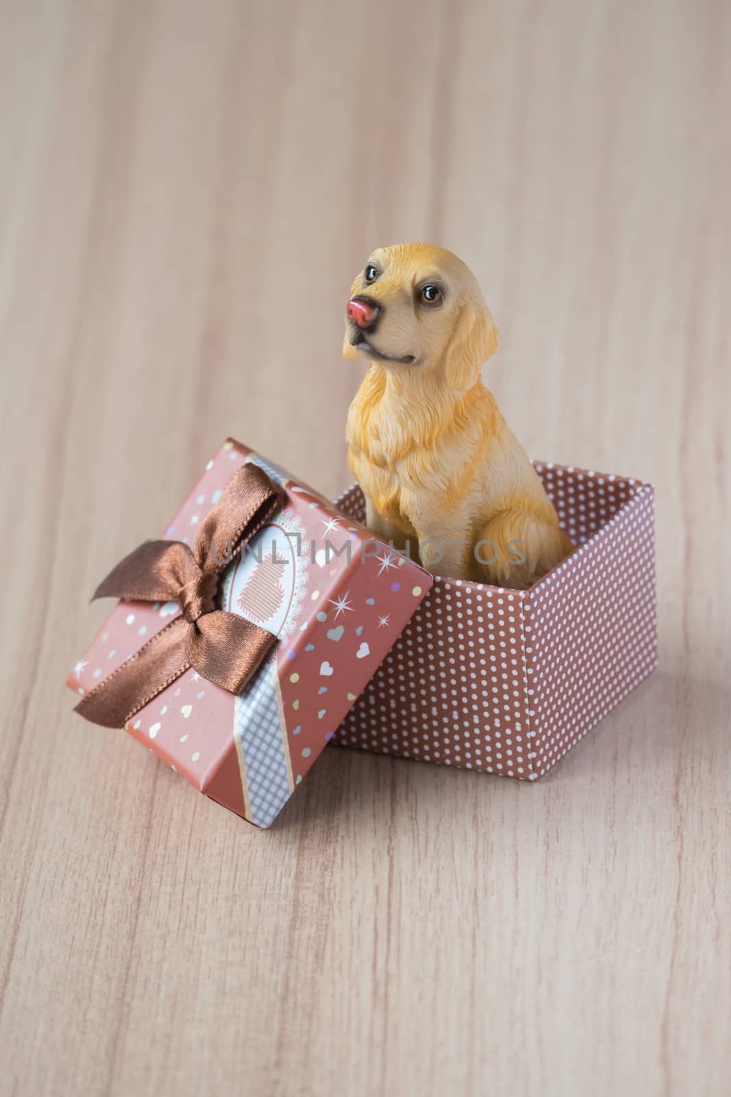 Dog in a gift box by teerawit