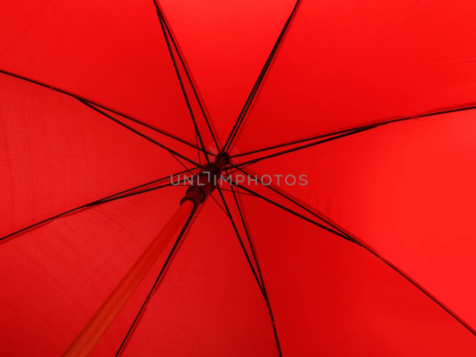 red striped umbrella,  down under viewed , studio shot