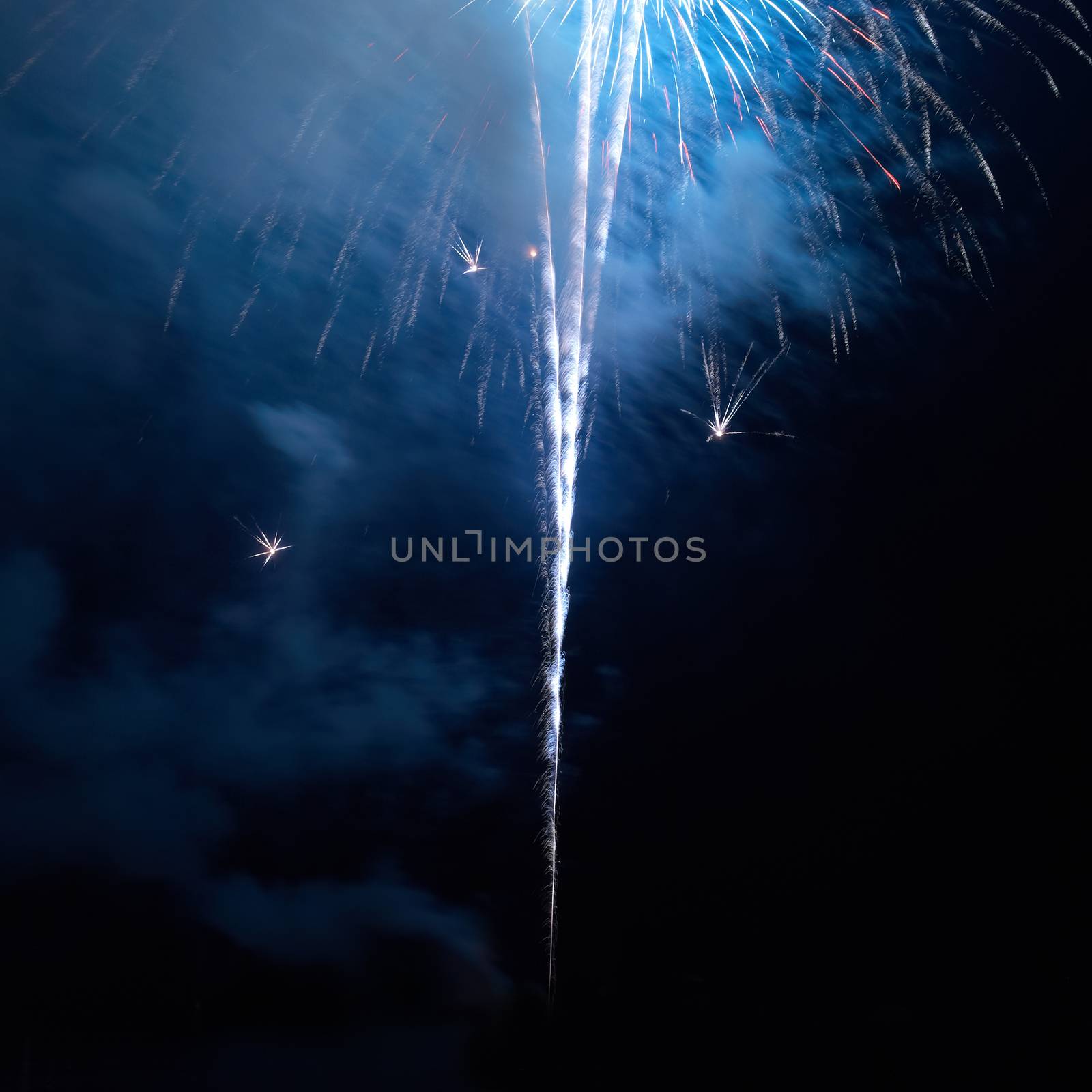 Colorful holiday fireworks on the black sky background.