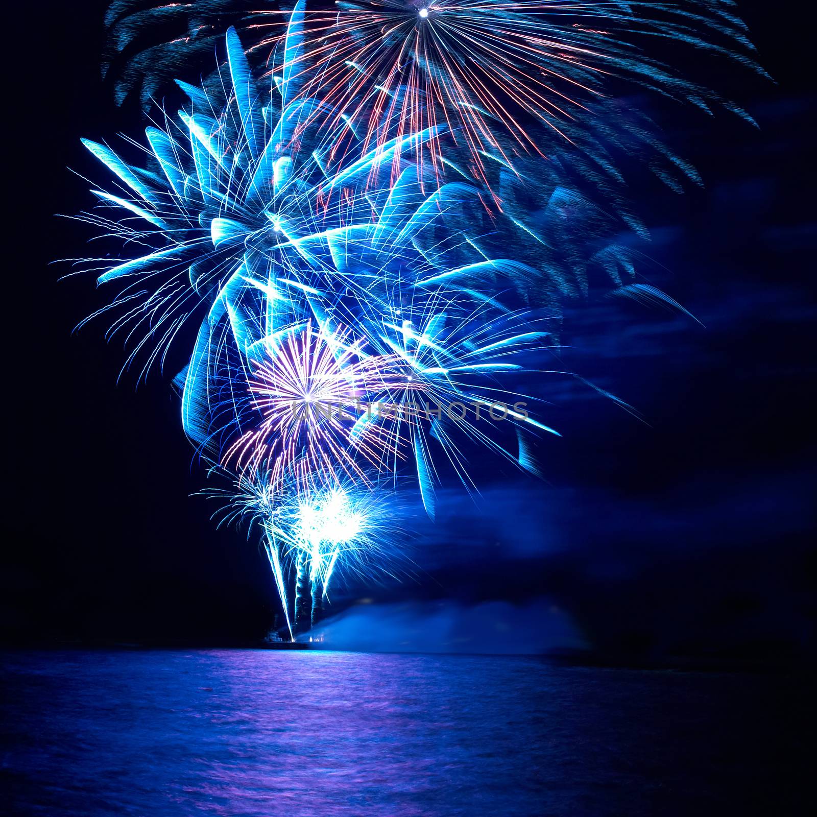 Blue and red colorful holiday fireworks on the black sky background.