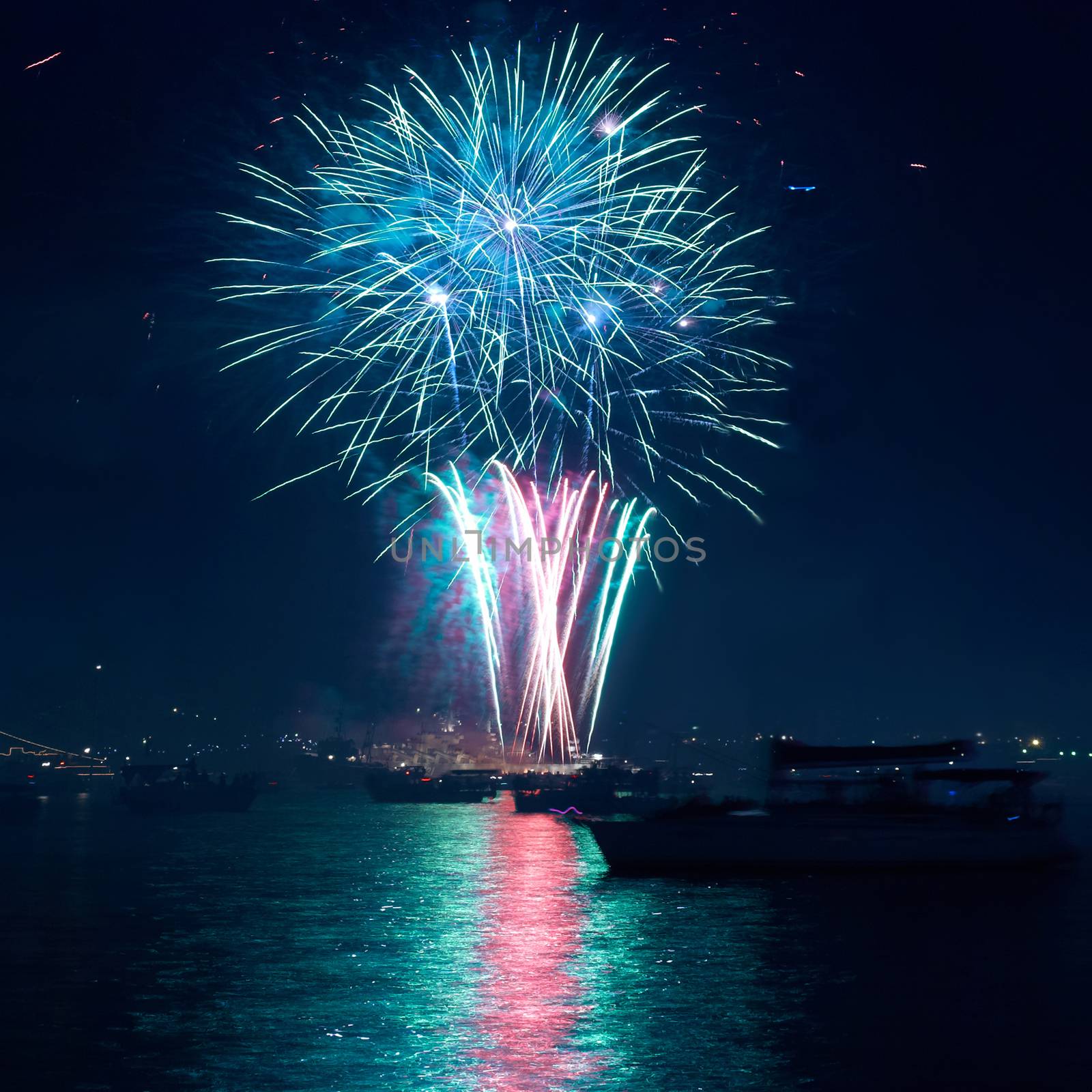 Colorful fireworks on the black sky background