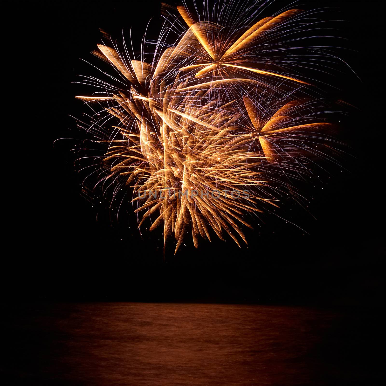 Red colorful holiday fireworks on the black sky background.