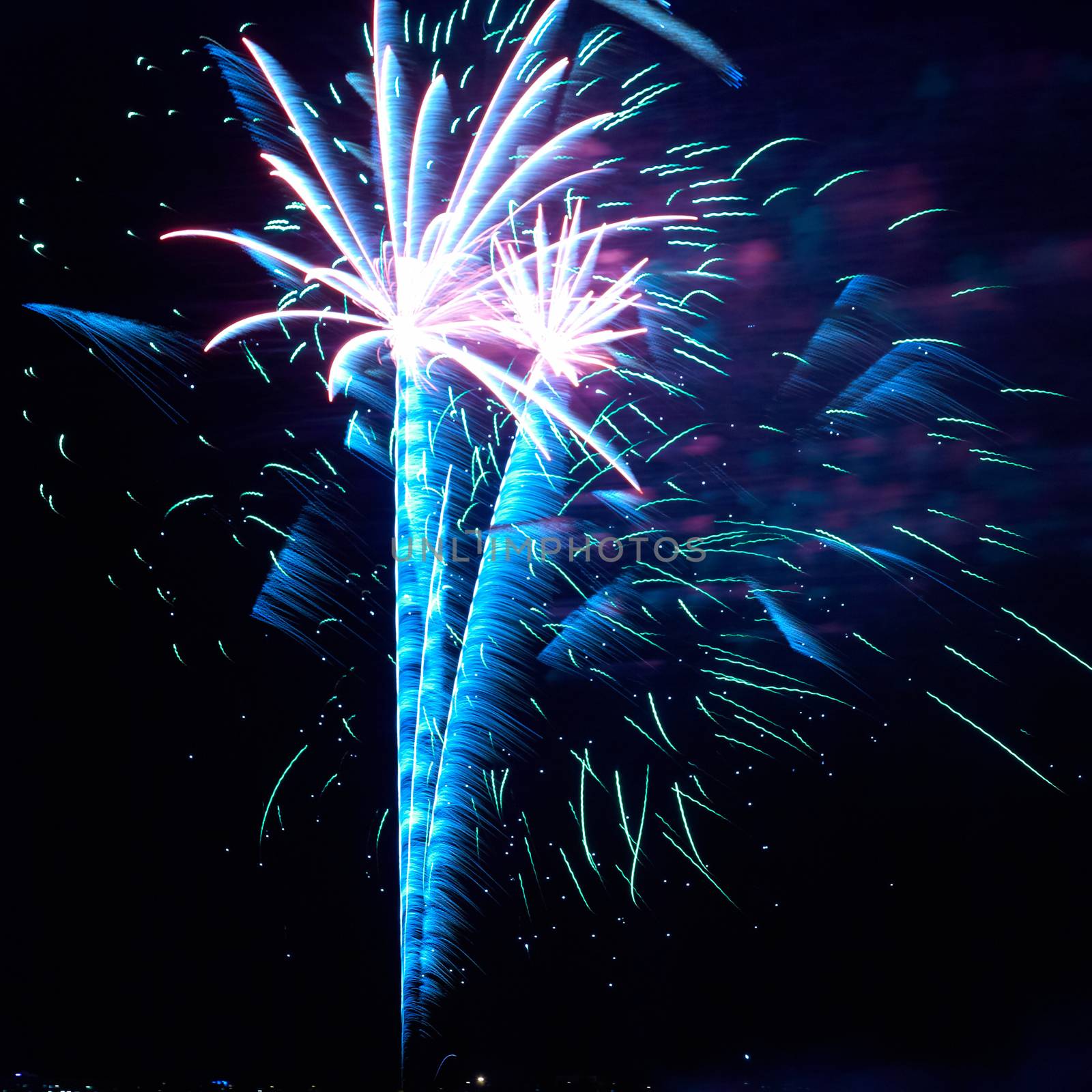 Blue and red colorful holiday fireworks on the black sky background.