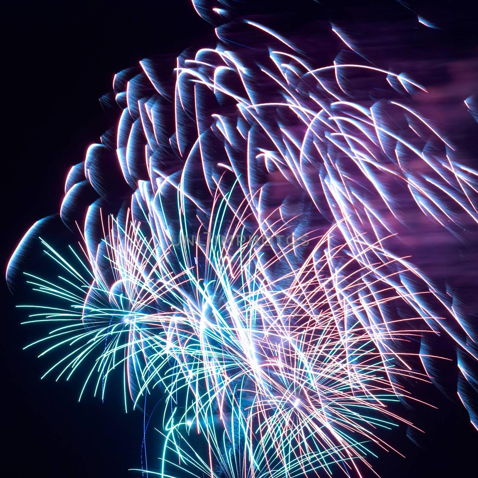 Blue and red colorful holiday fireworks on the black sky background.