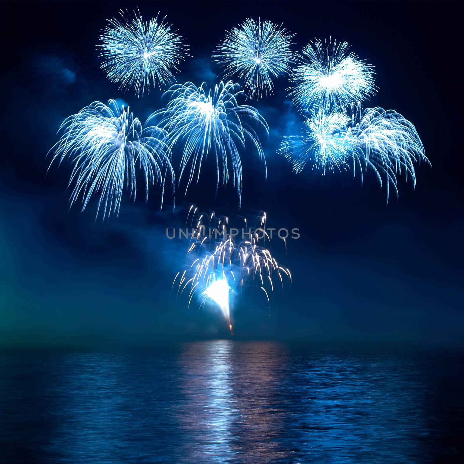 Colorful fireworks on the black sky background