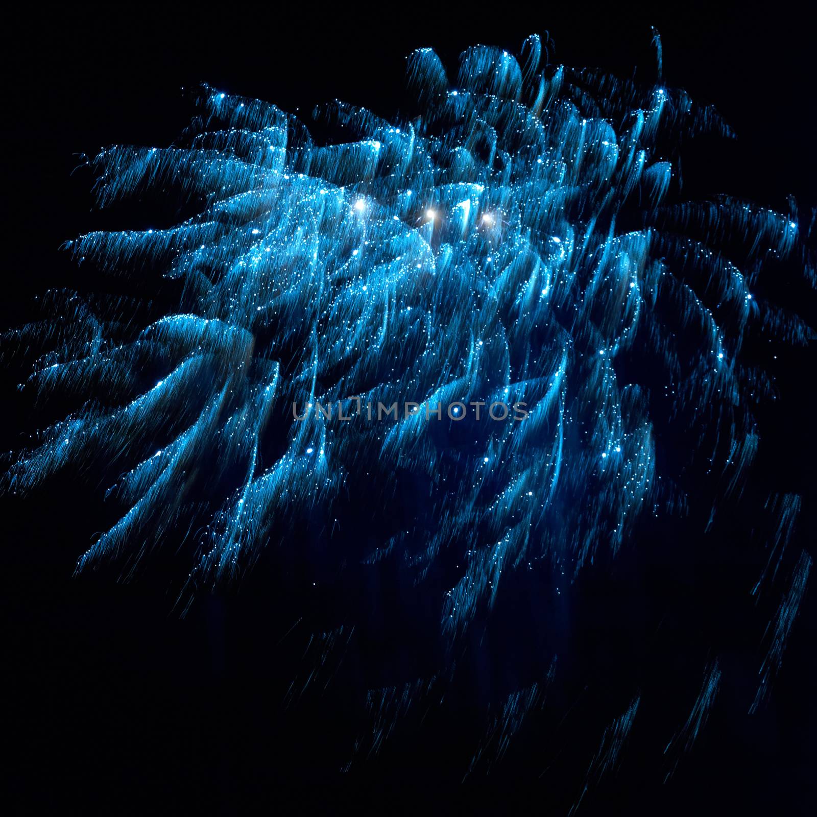 Blue and red colorful holiday fireworks on the black sky background.