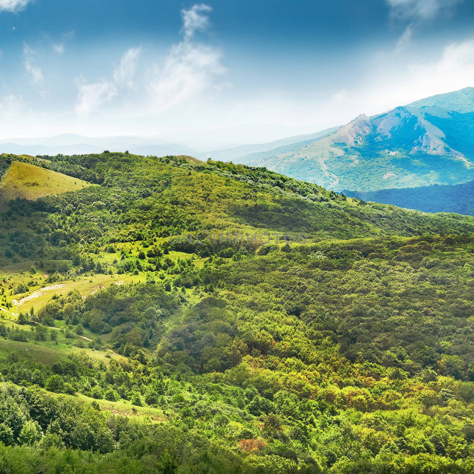 Green mountain covered with forest by vapi