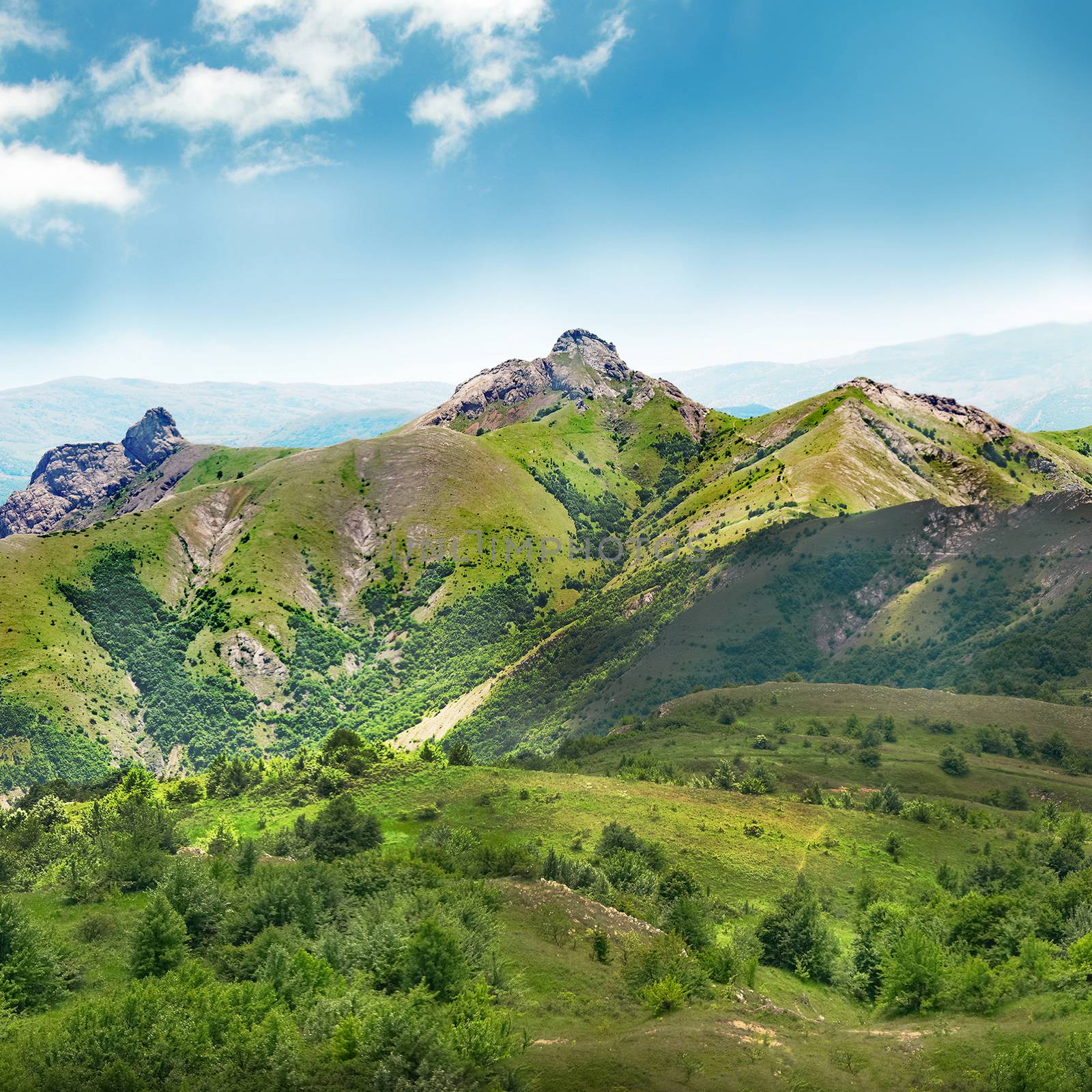 Green mountain covered with forest on the blue sky background. Panorama