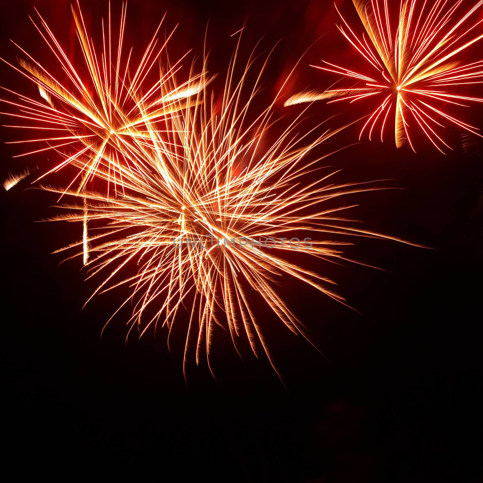 Colorful fireworks on the black sky background