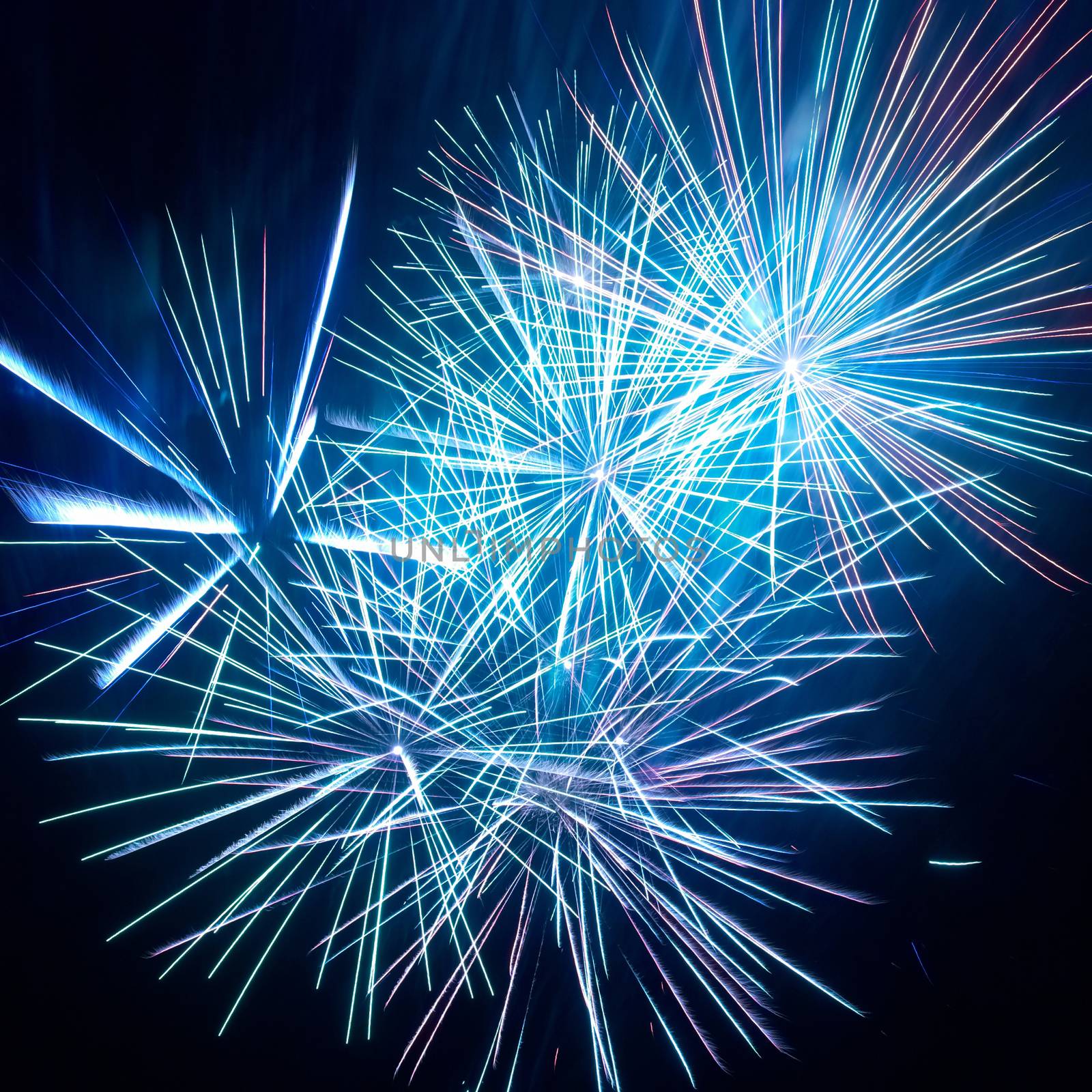 Colorful fireworks on the black sky background