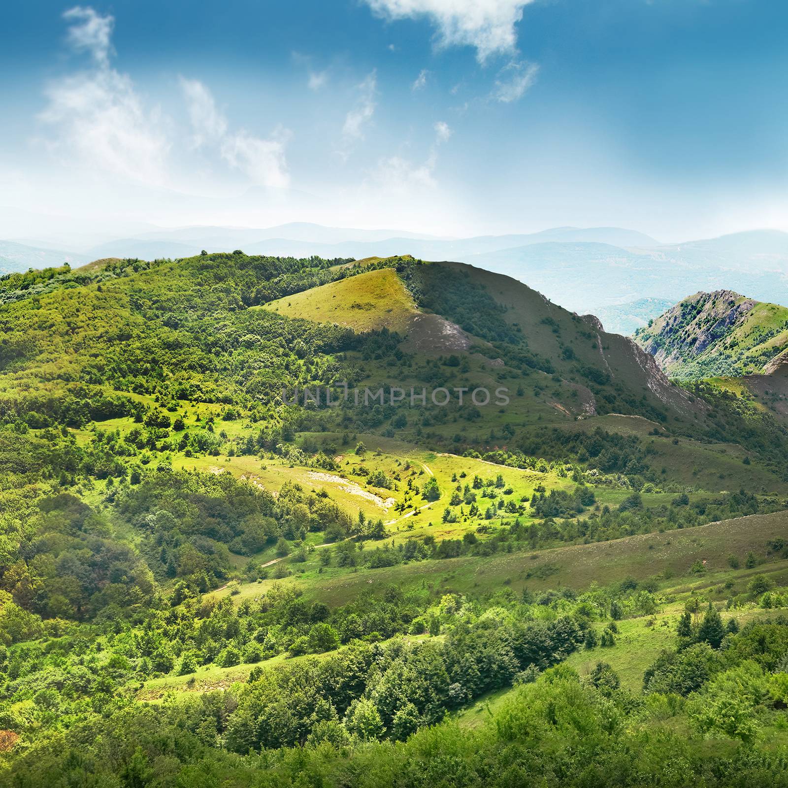 Green mountains covered with forest on the blue sky background. Panorama