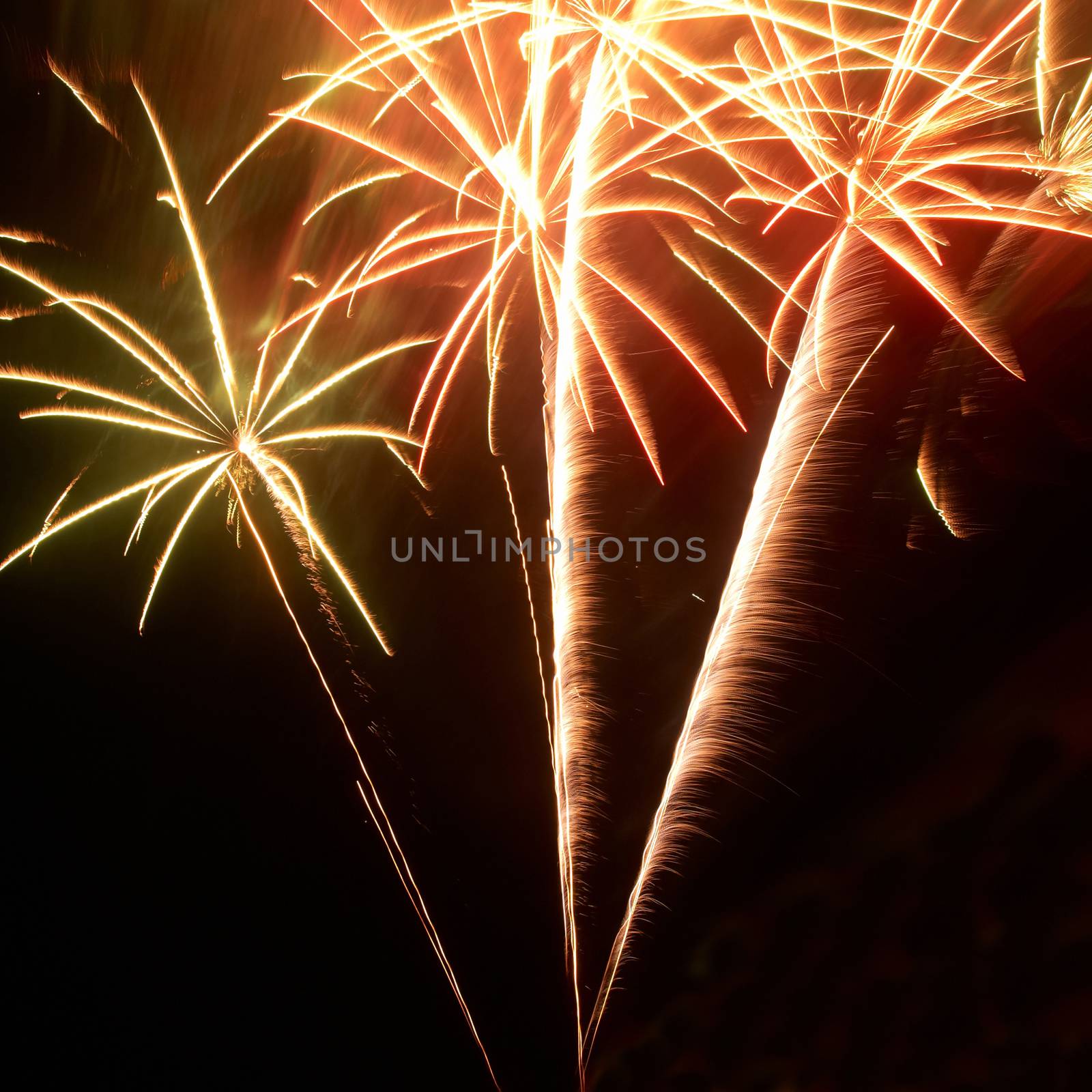 Colorful fireworks on the black sky background