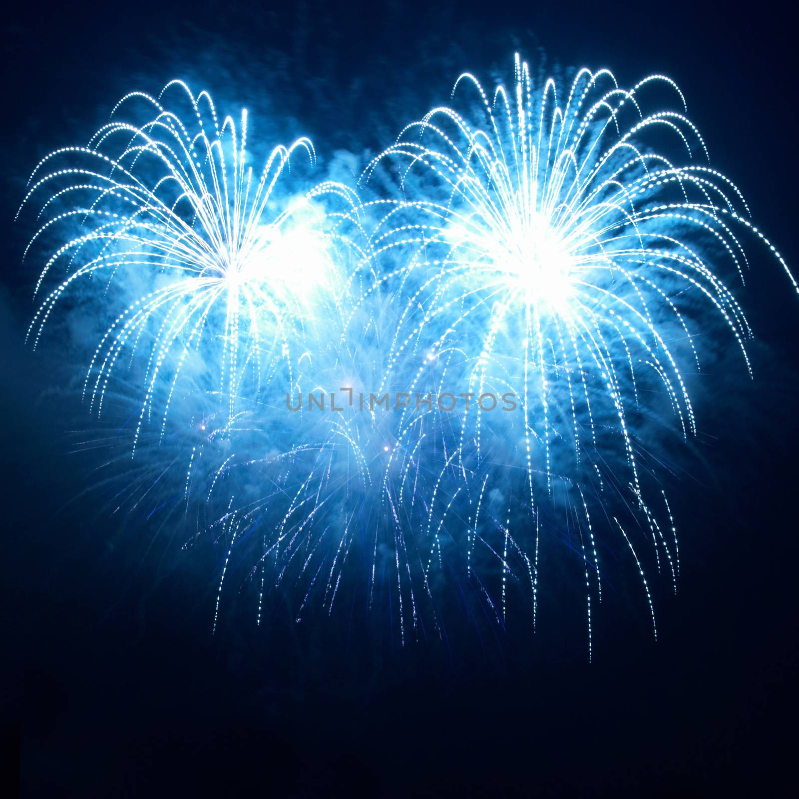 Colorful fireworks on the black sky background