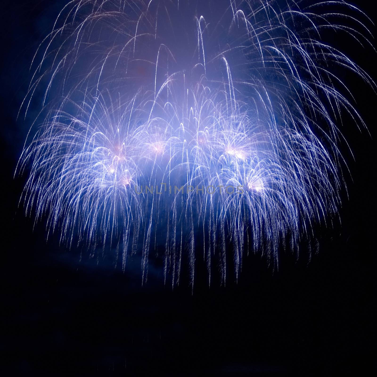 Colorful fireworks on the black sky background