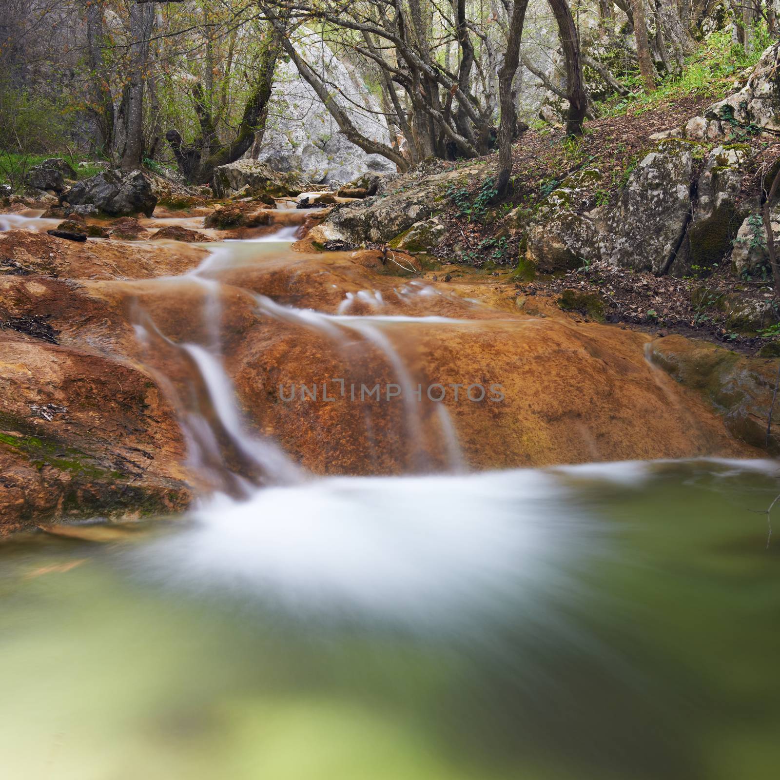 Beautiful waterfall in the forest of national park