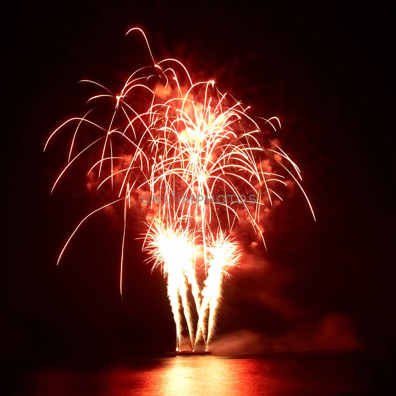 Colorful fireworks on the black sky background