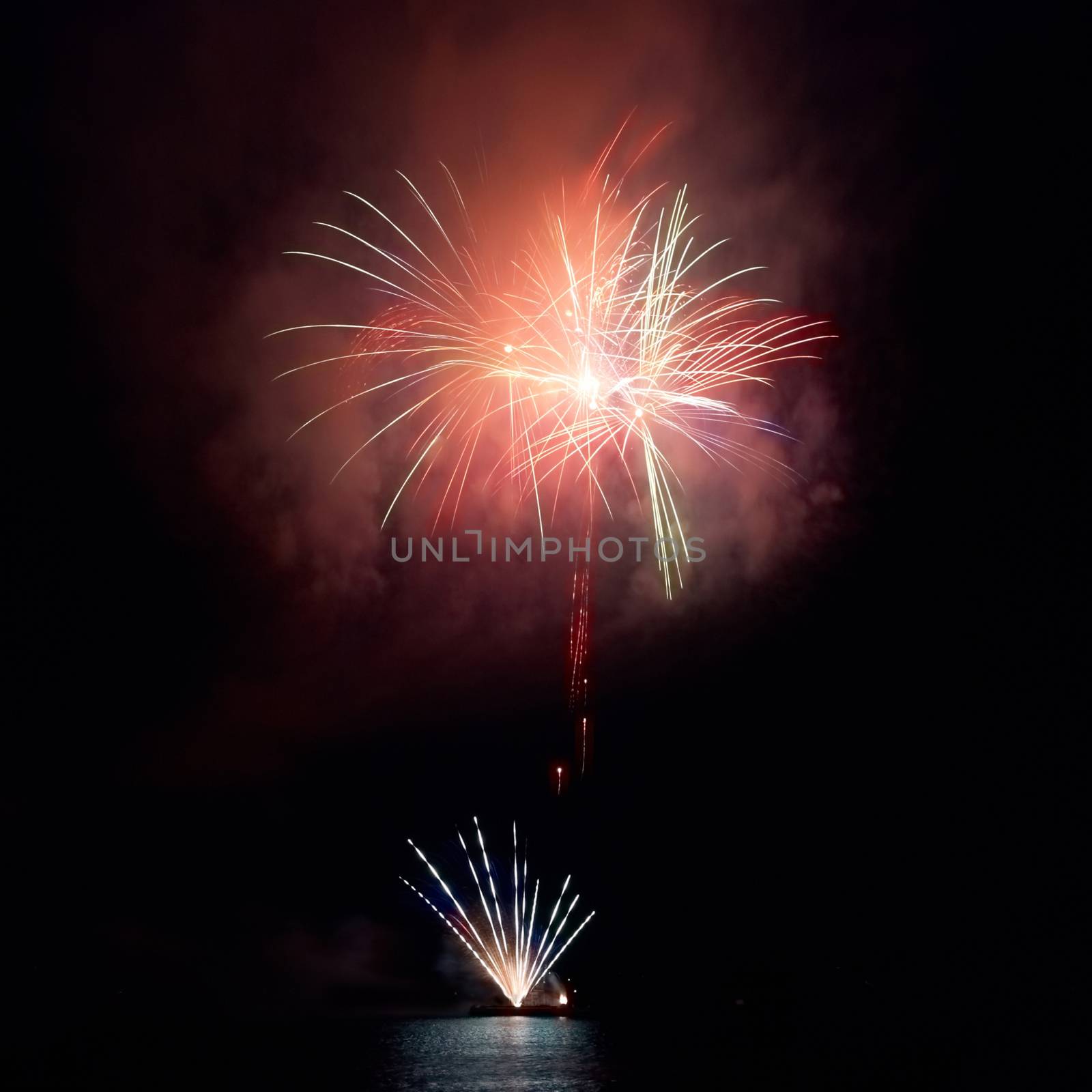 Colorful fireworks on the black sky background