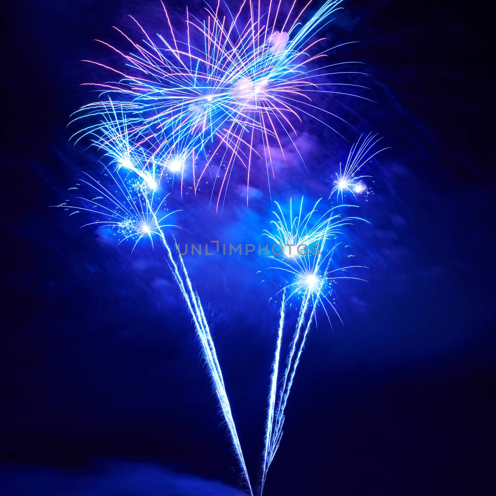 Blue colorful fireworks on the black sky background