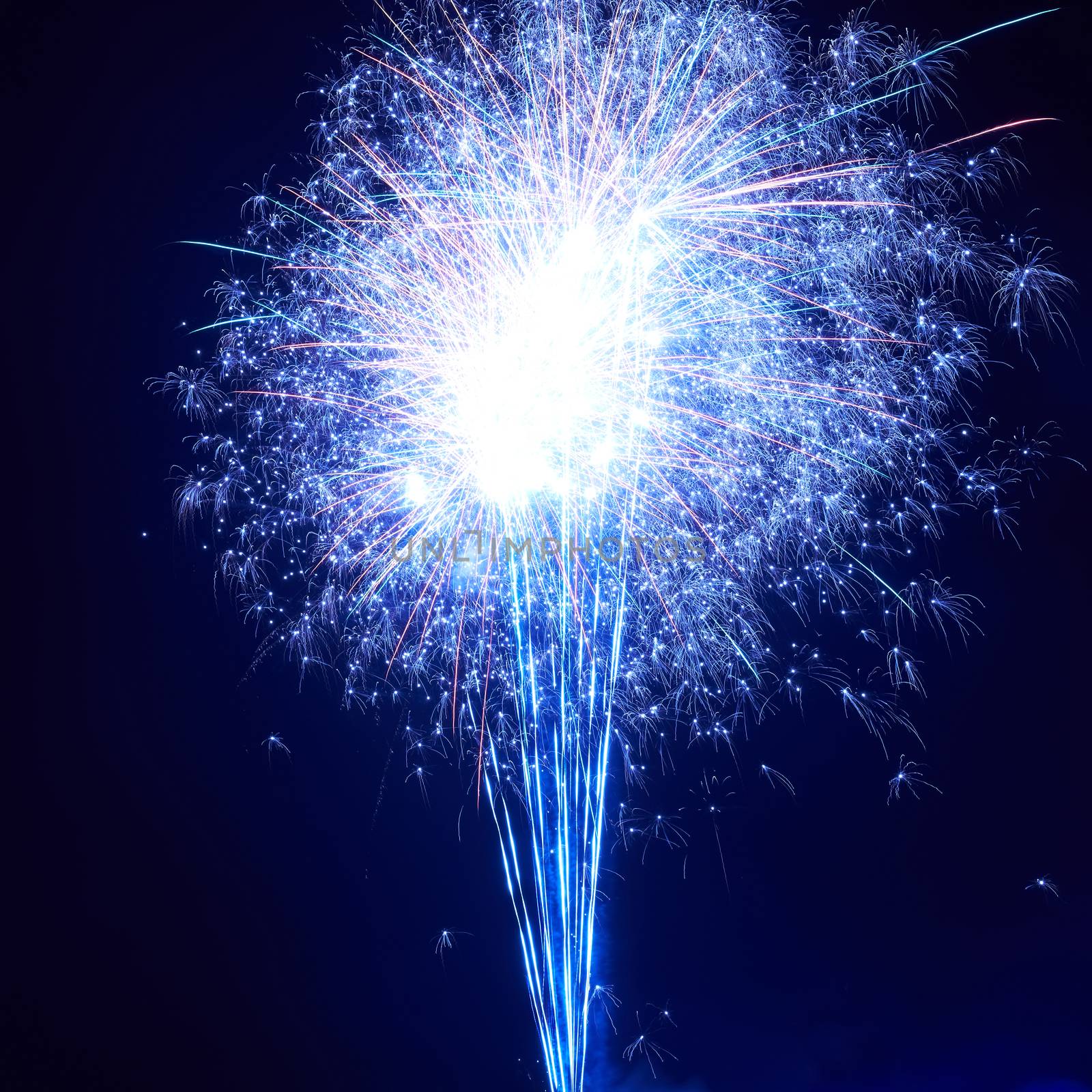 Blue colorful fireworks on the black sky background