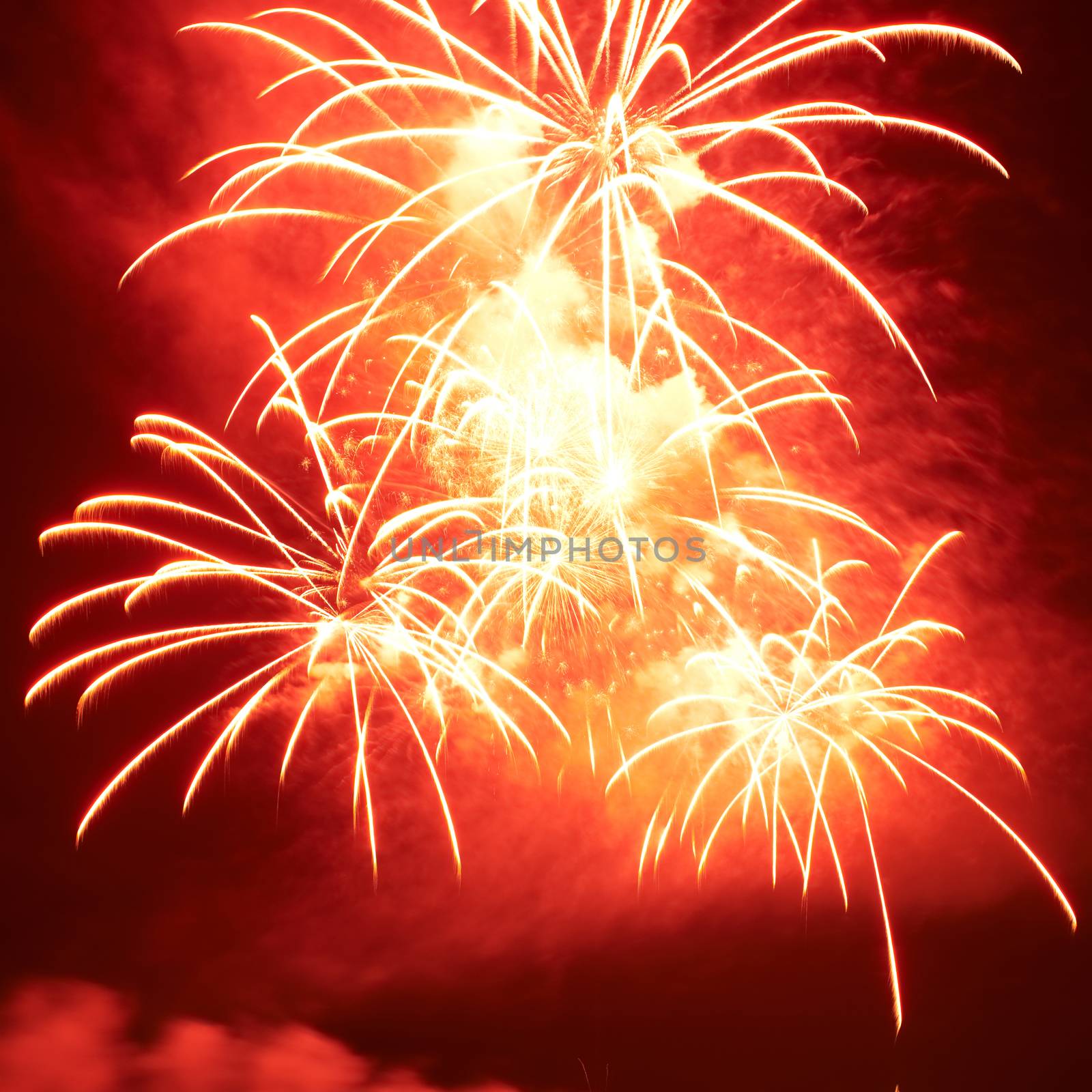 Red colorful fireworks on the black sky background