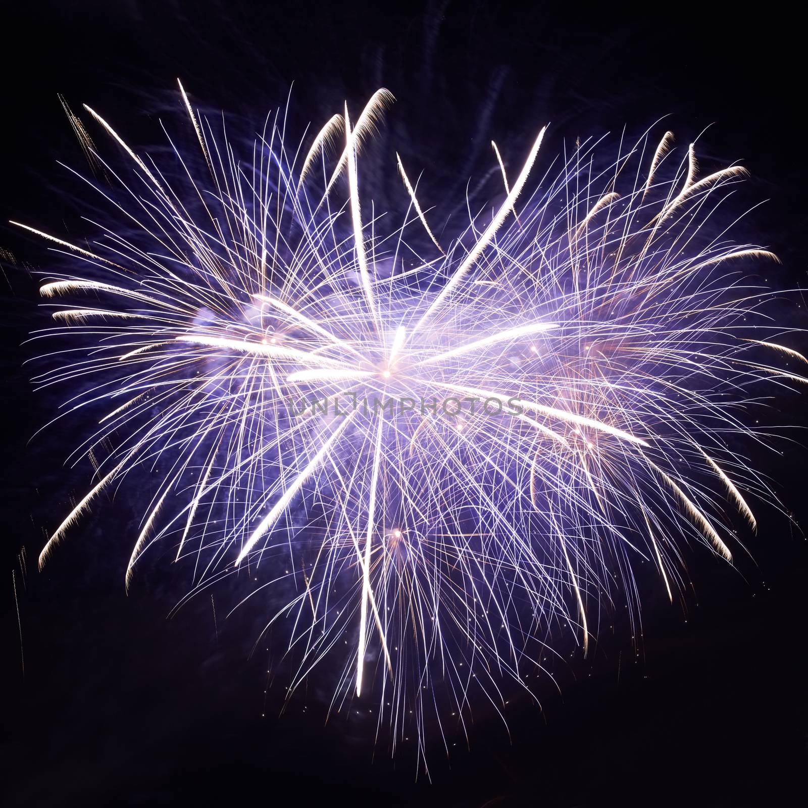 Blue colorful fireworks on the black sky background