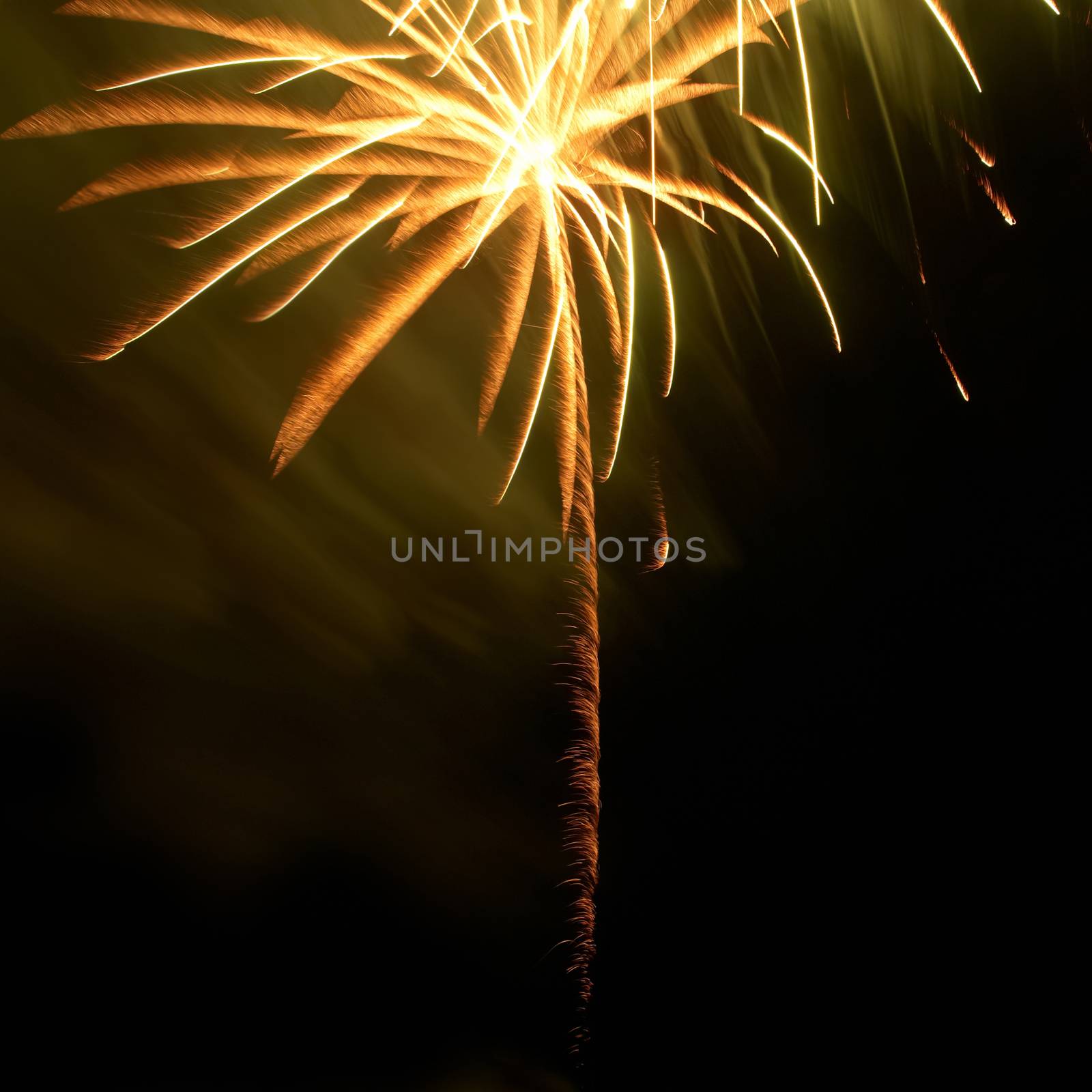 Colorful fireworks on the black sky background