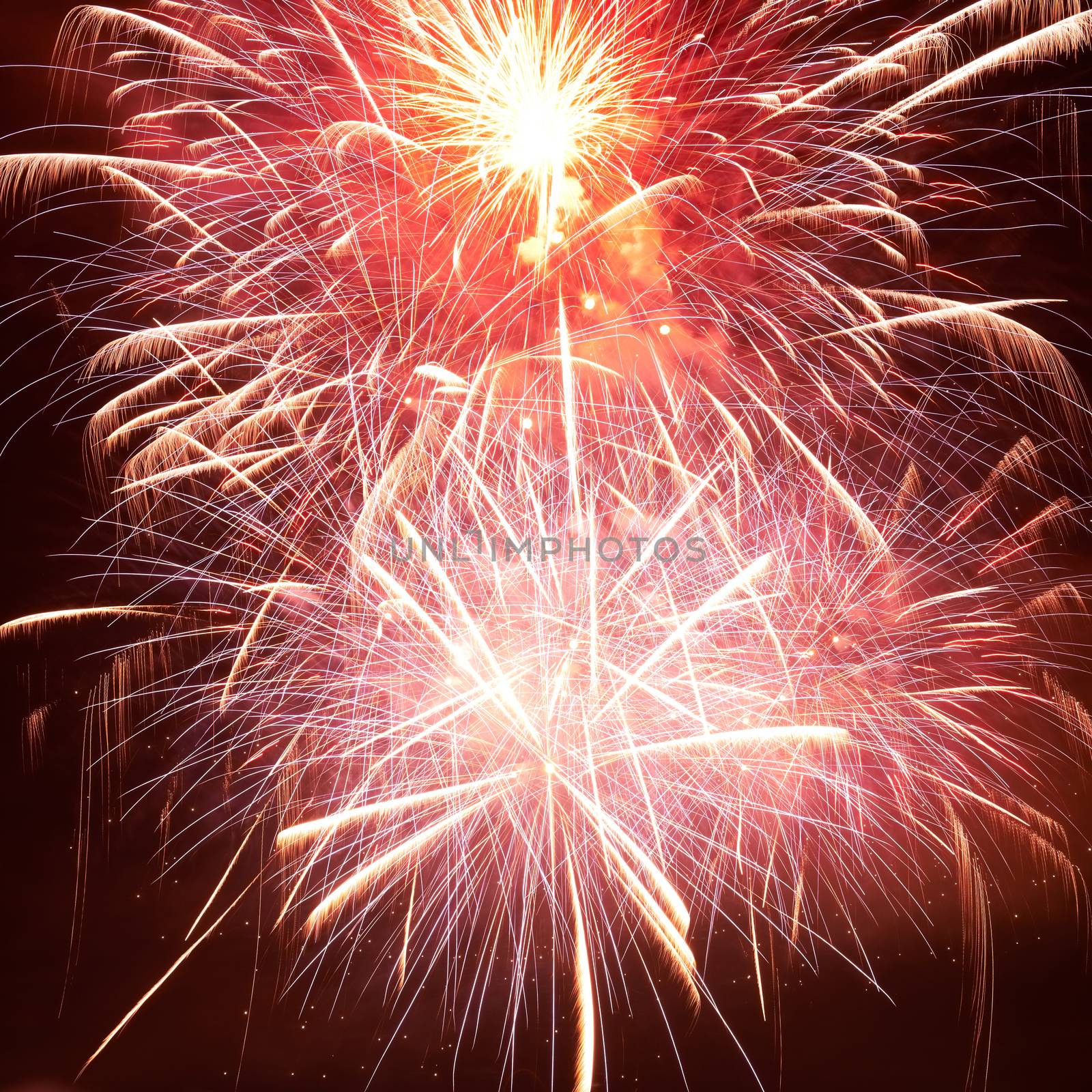 Red colorful fireworks on the black sky background