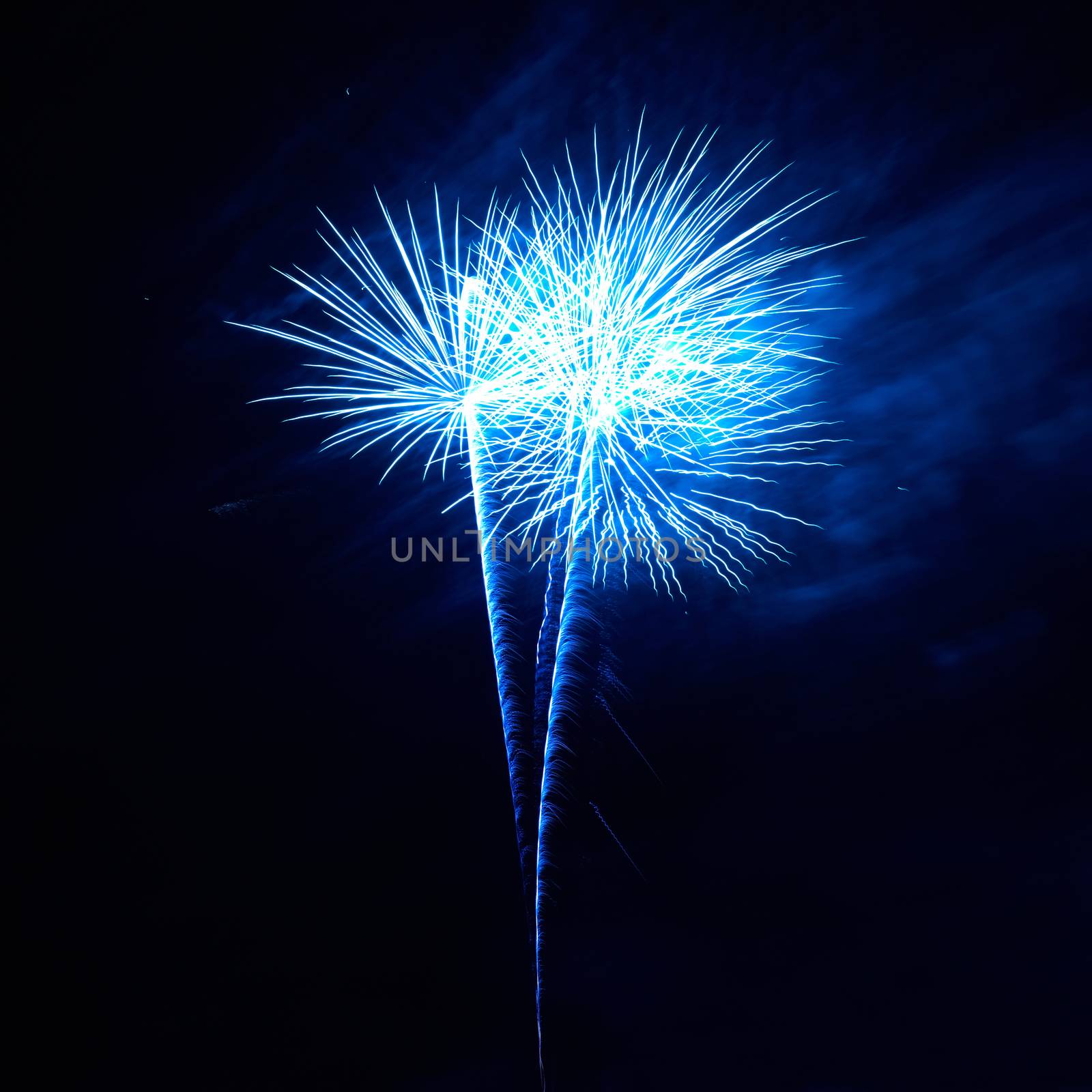 Blue colorful fireworks on the black sky background