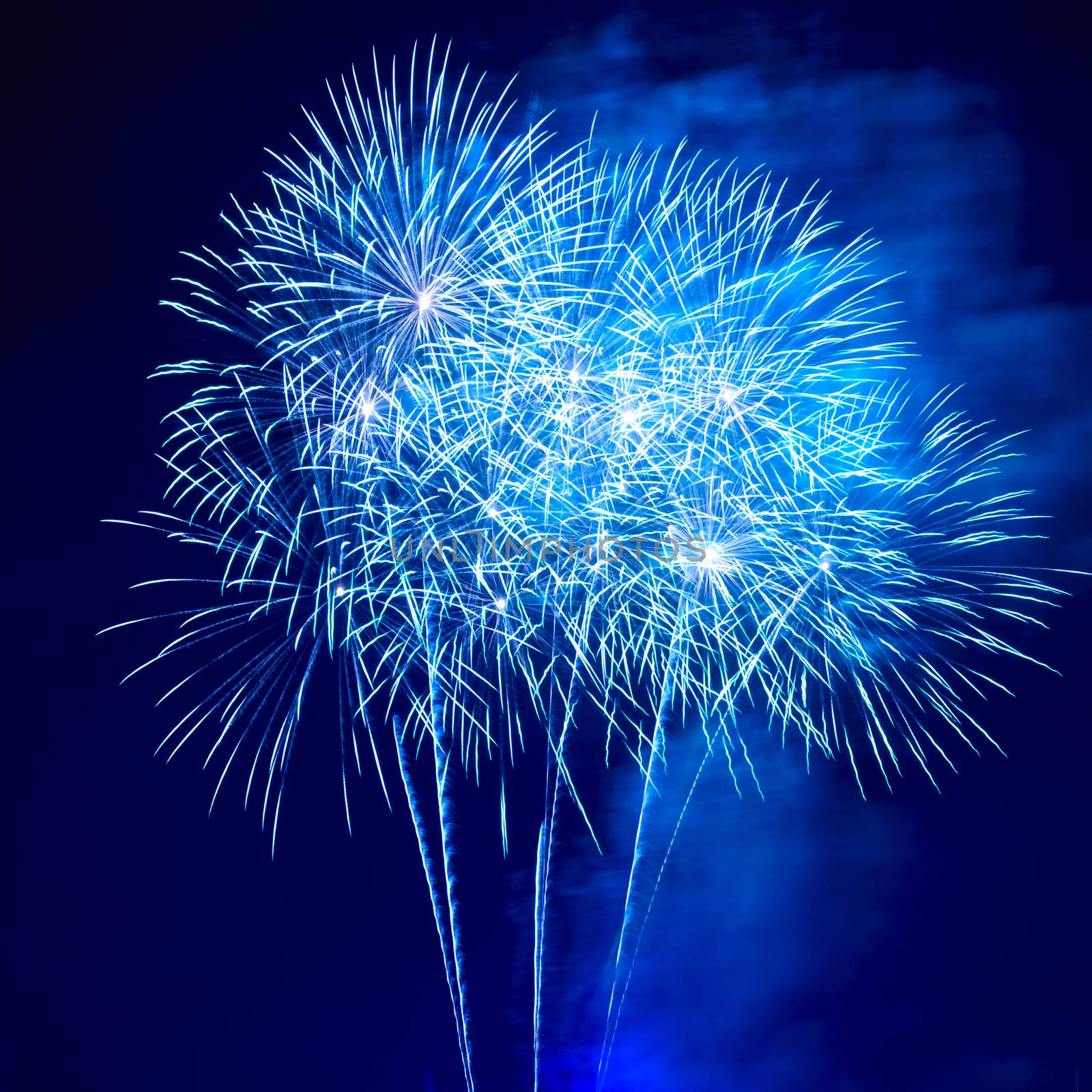 Blue colorful fireworks on the black sky background