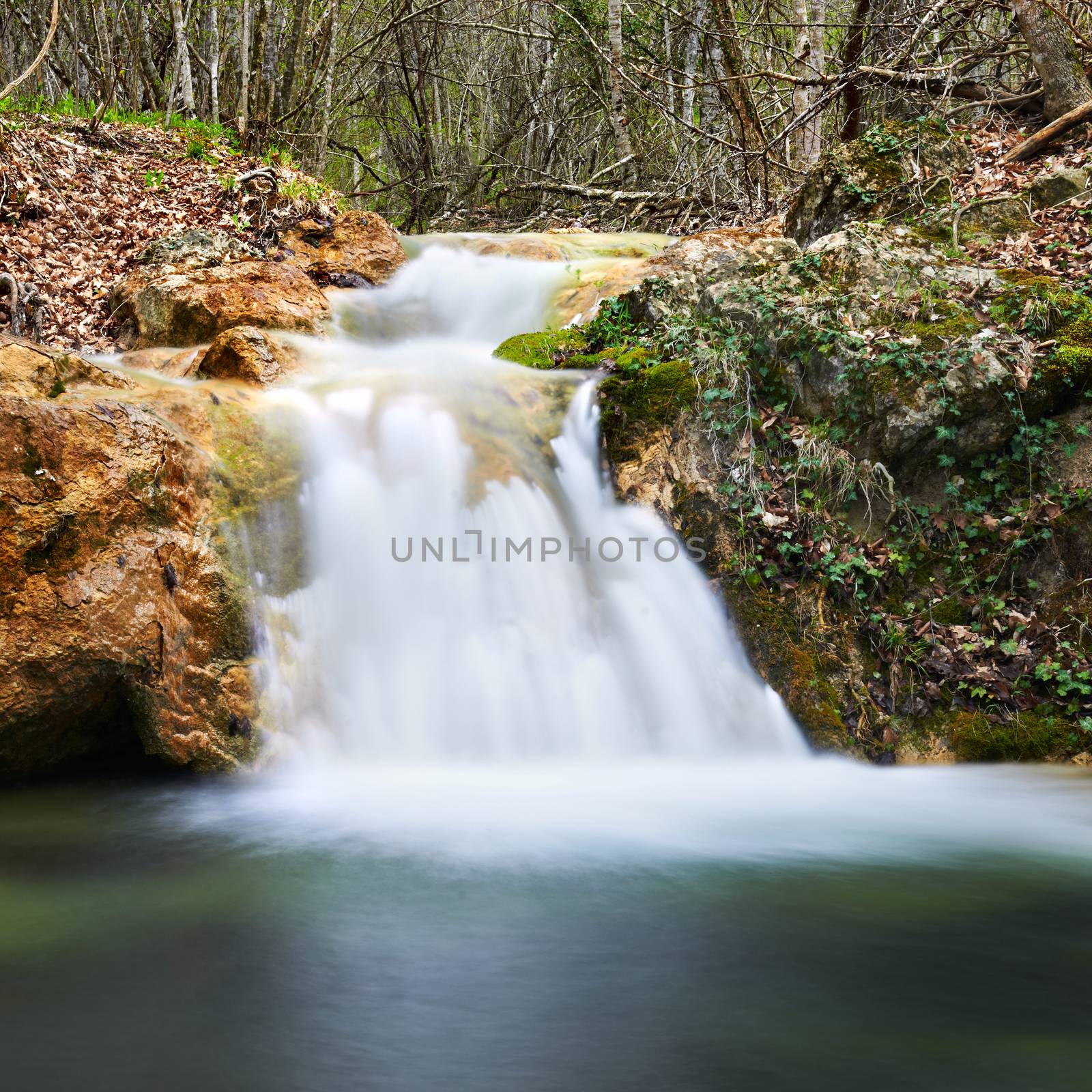 Beautiful waterfall in the forest of national park