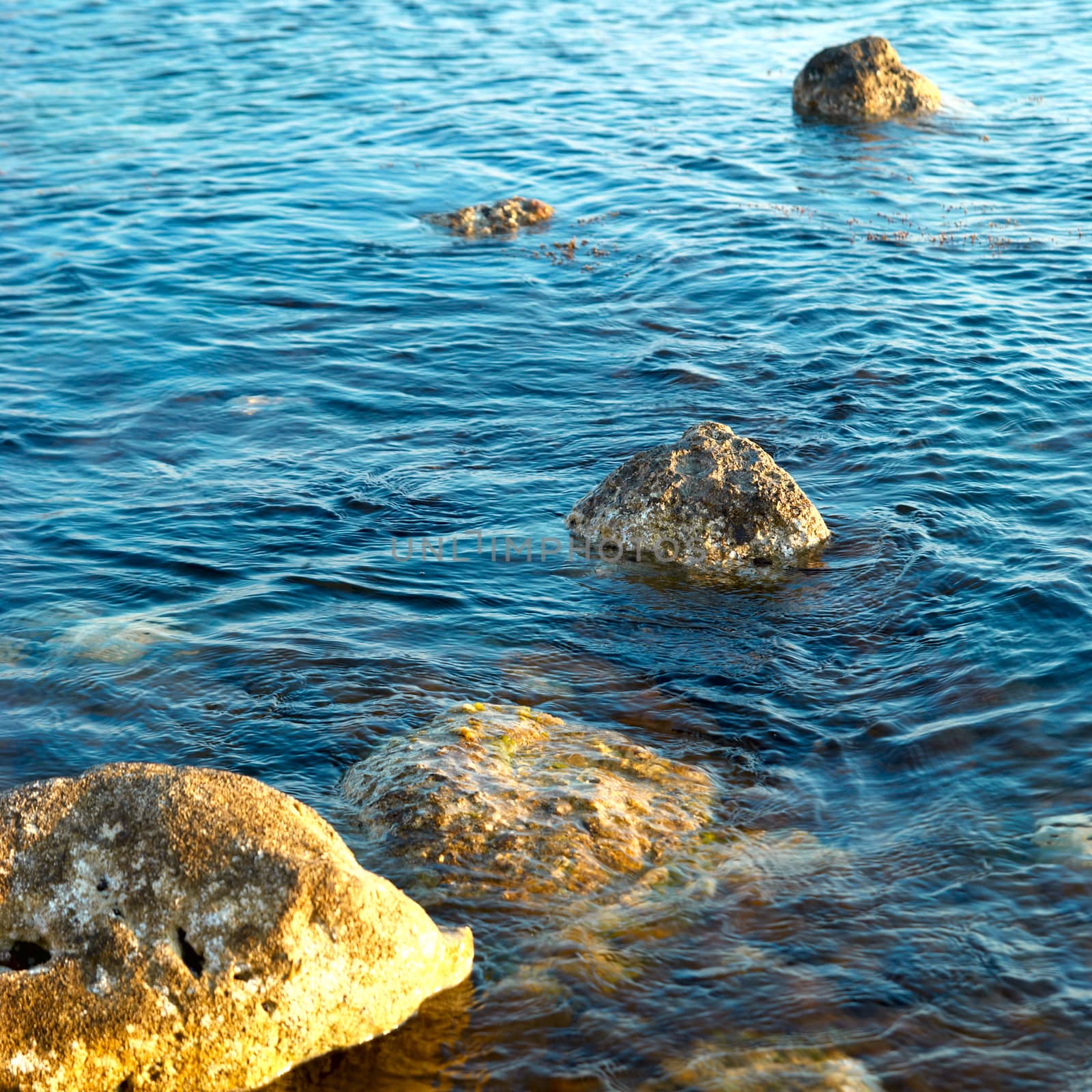 Sea shore and stones. Seascape at sunset.