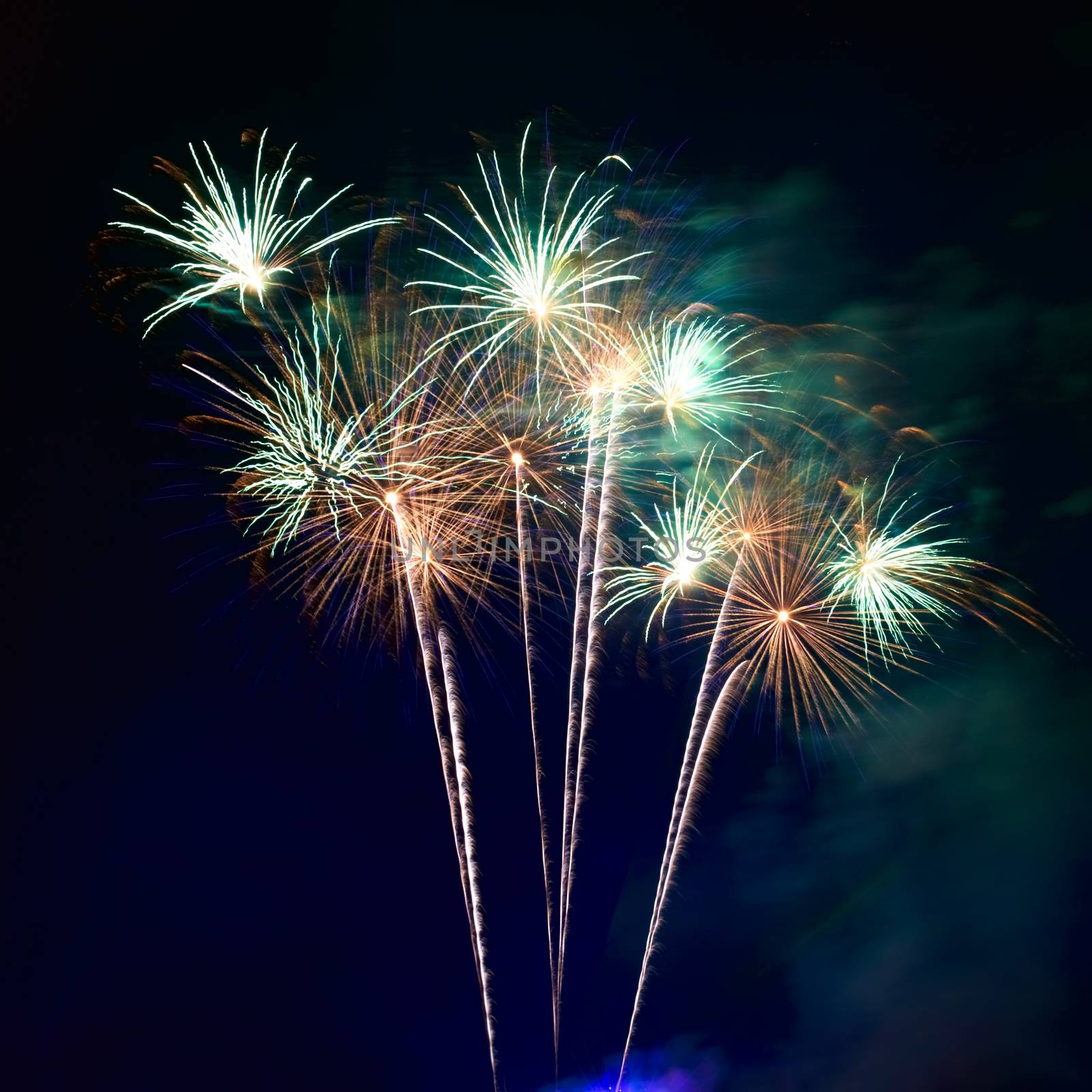 Red colorful fireworks on the black sky background