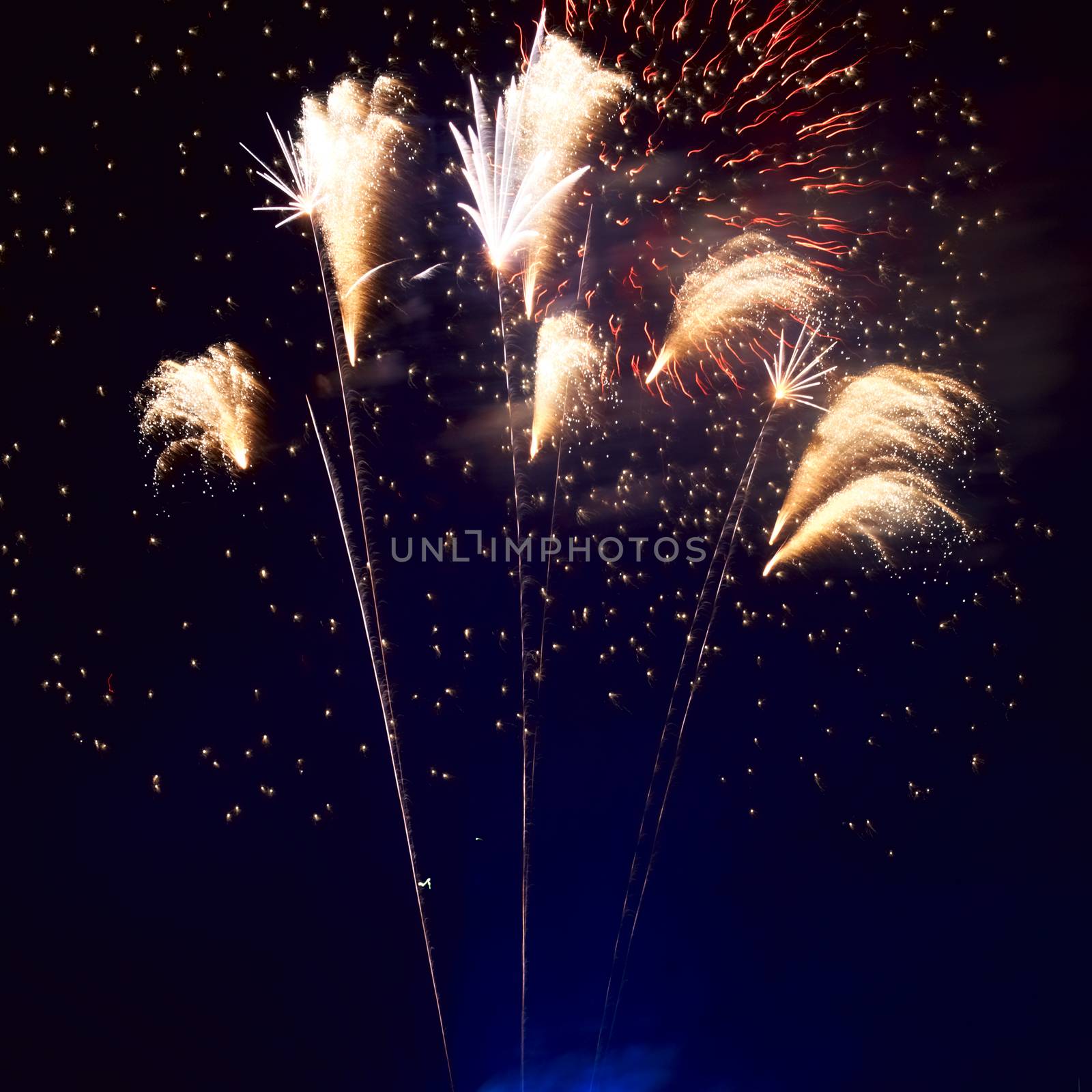 Red colorful fireworks on the black sky background