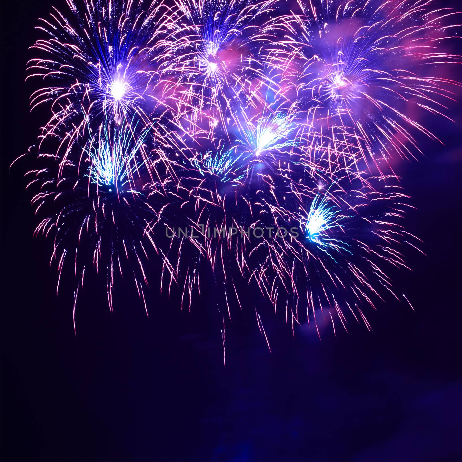 Blue colorful fireworks on the black sky background