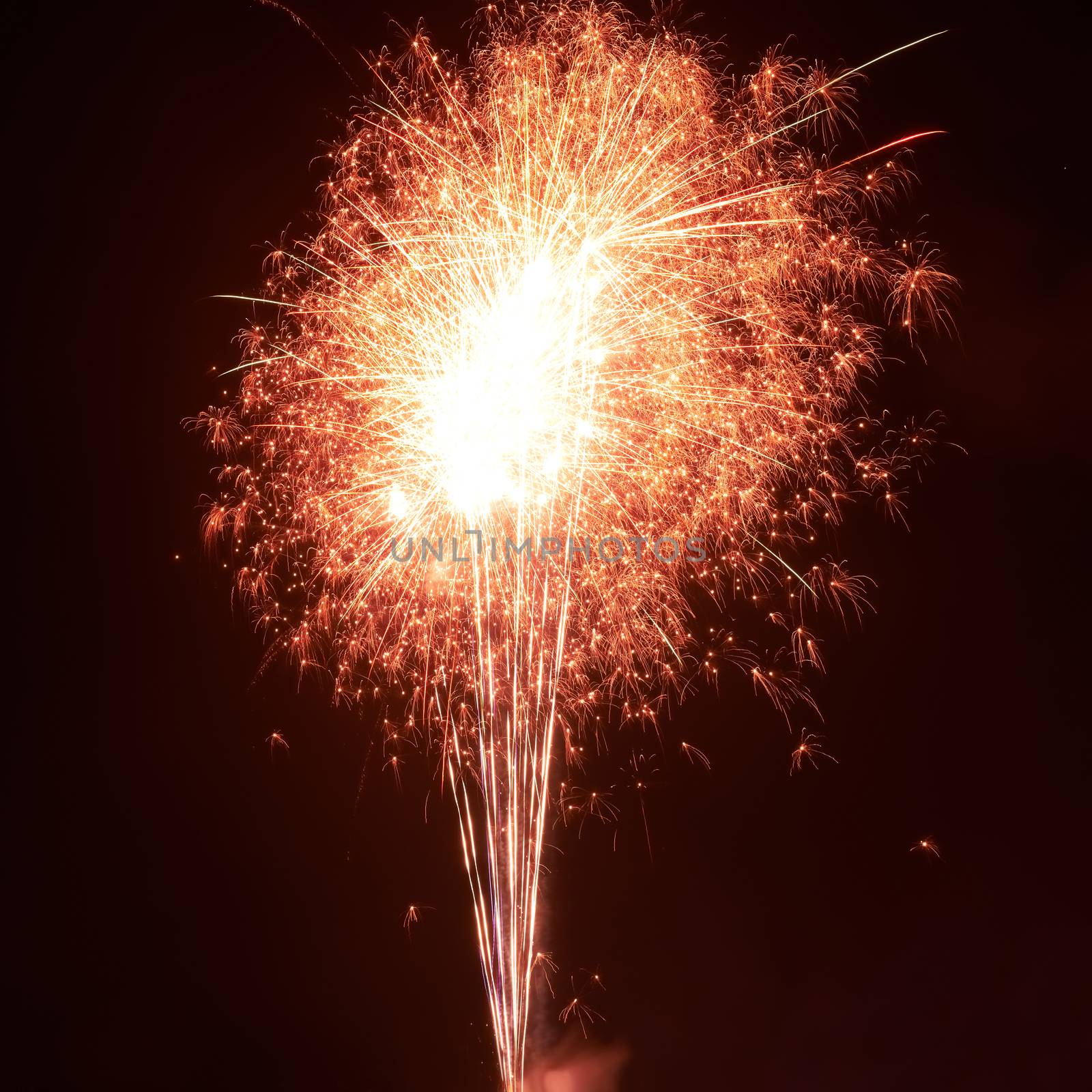 Red colorful fireworks on the black sky background