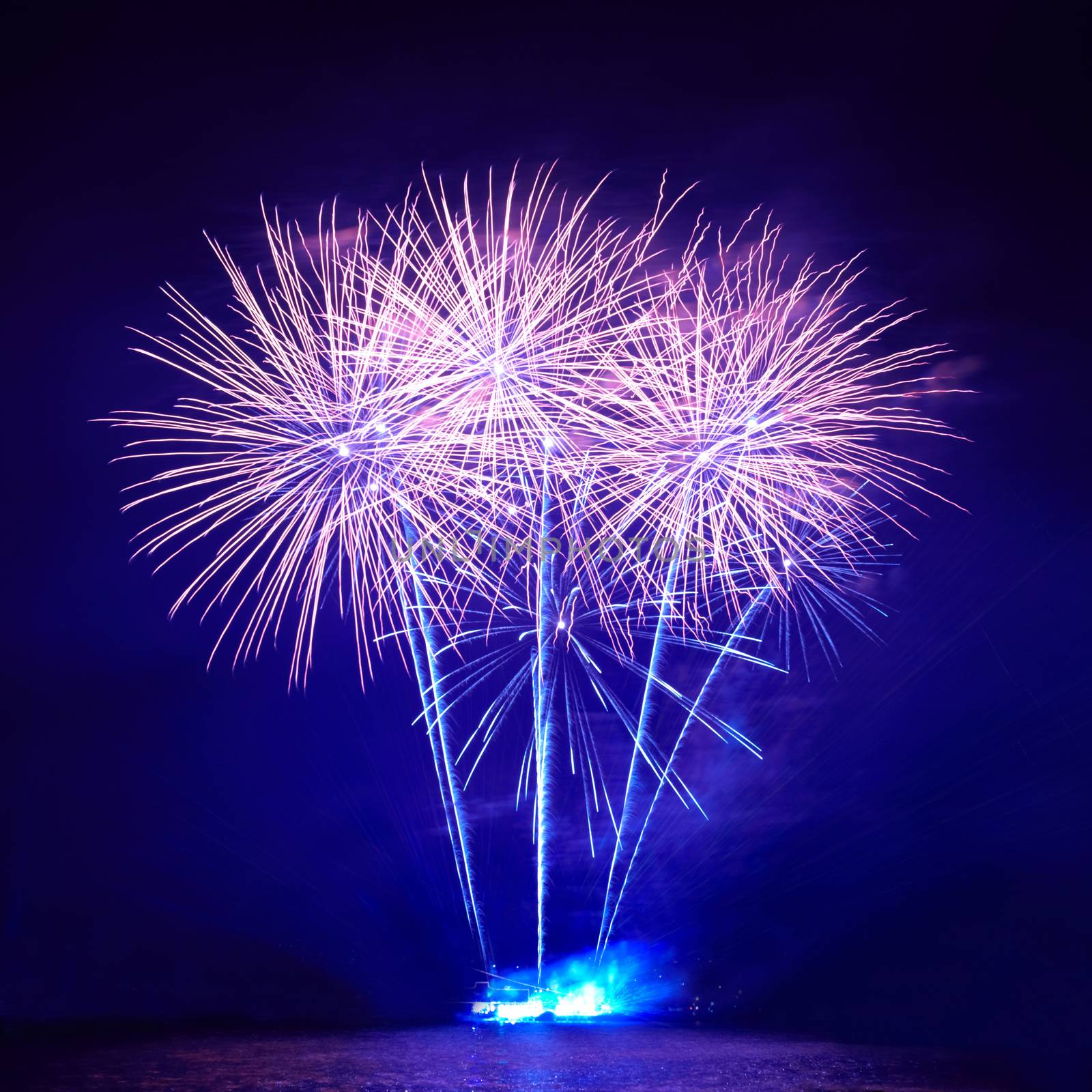 Blue colorful fireworks on the black sky background